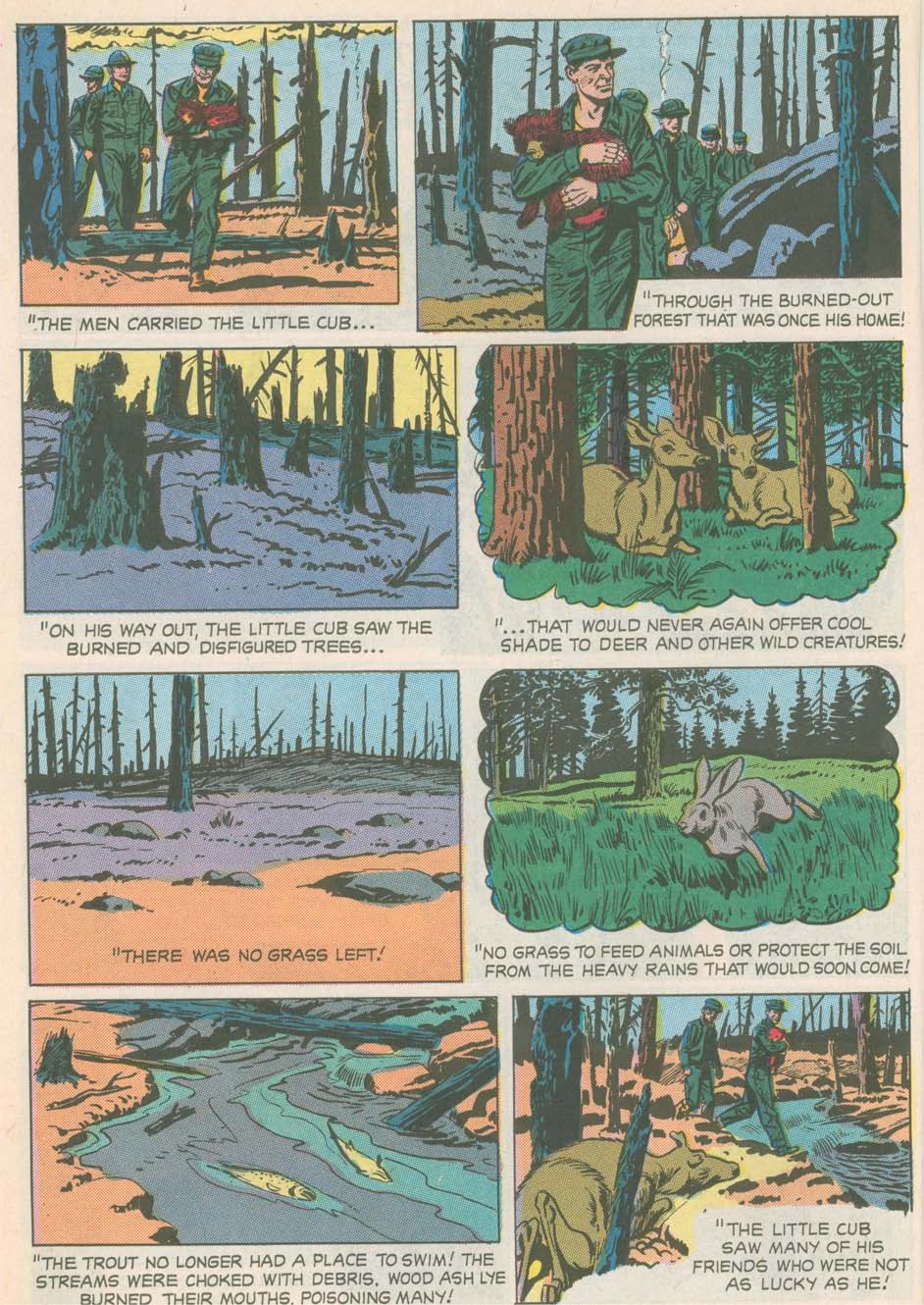 Read online The True Story of Smokey  Bear comic -  Issue # Full - 12