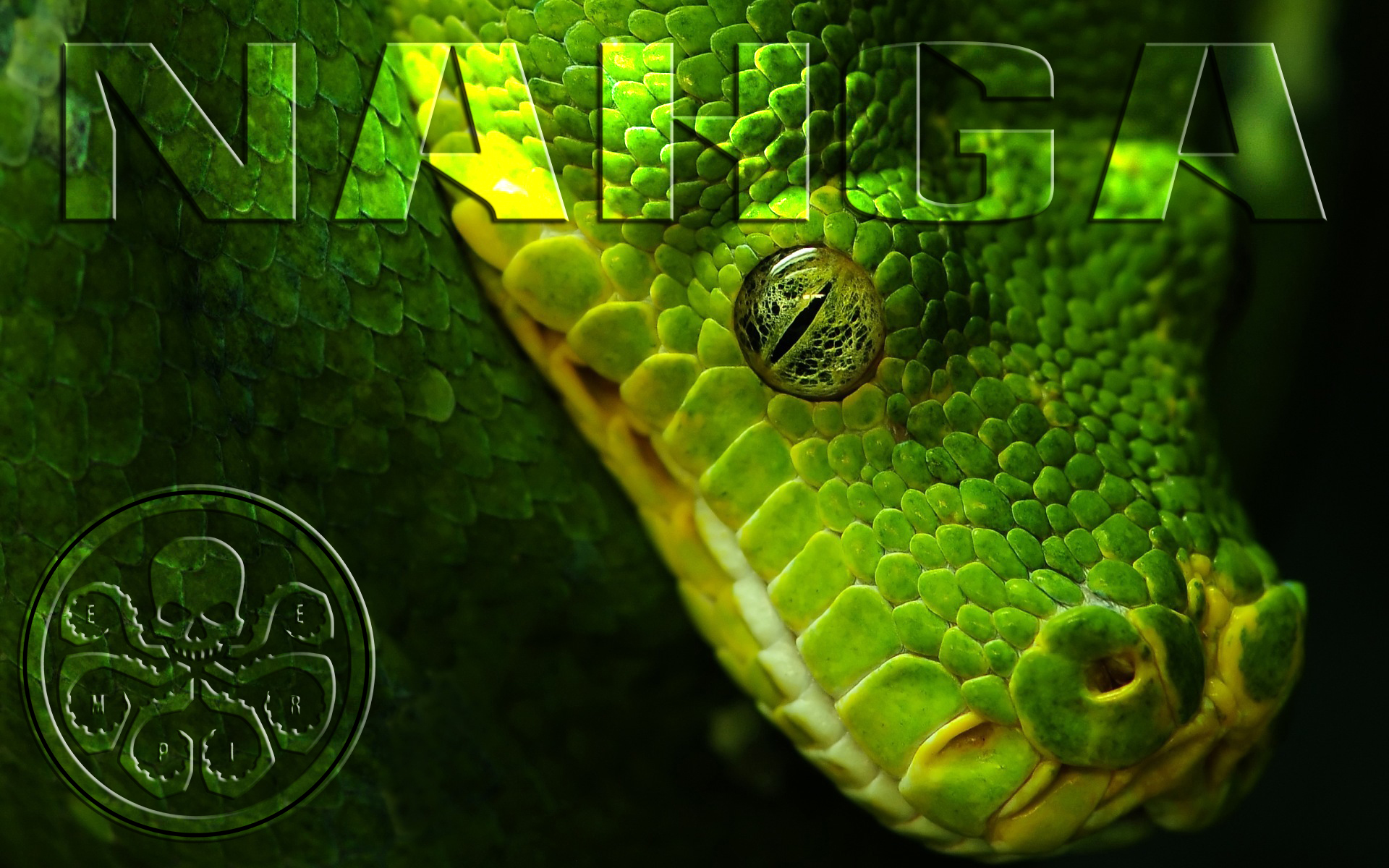 Read online Batman: Arkham Unhinged (2011) comic -  Issue #34 - 25