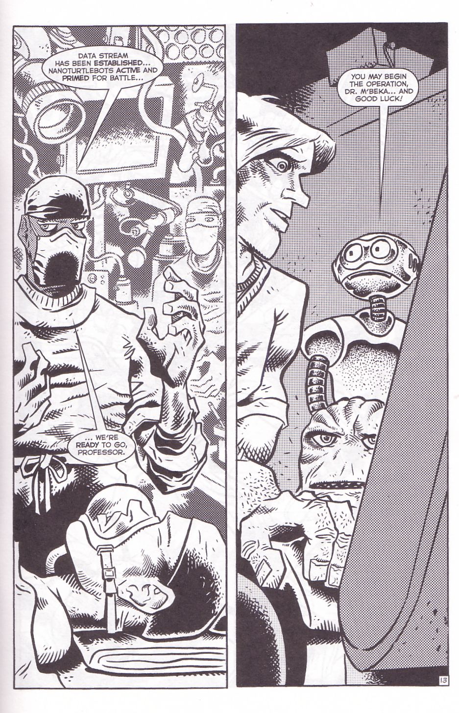 TMNT: Teenage Mutant Ninja Turtles issue 10 - Page 15