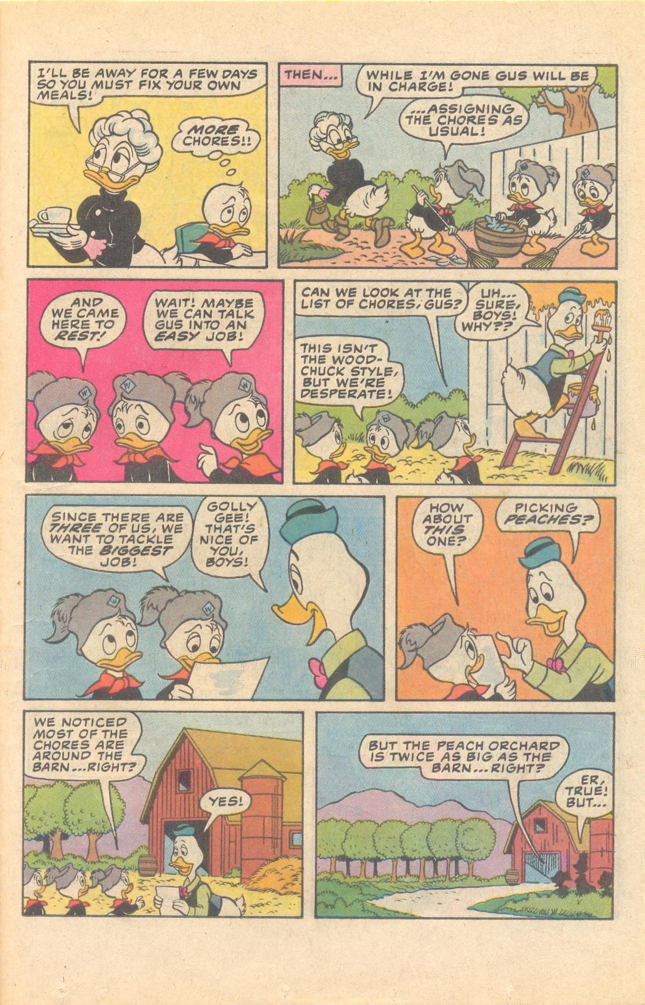 Read online Huey, Dewey, and Louie Junior Woodchucks comic -  Issue #79 - 23