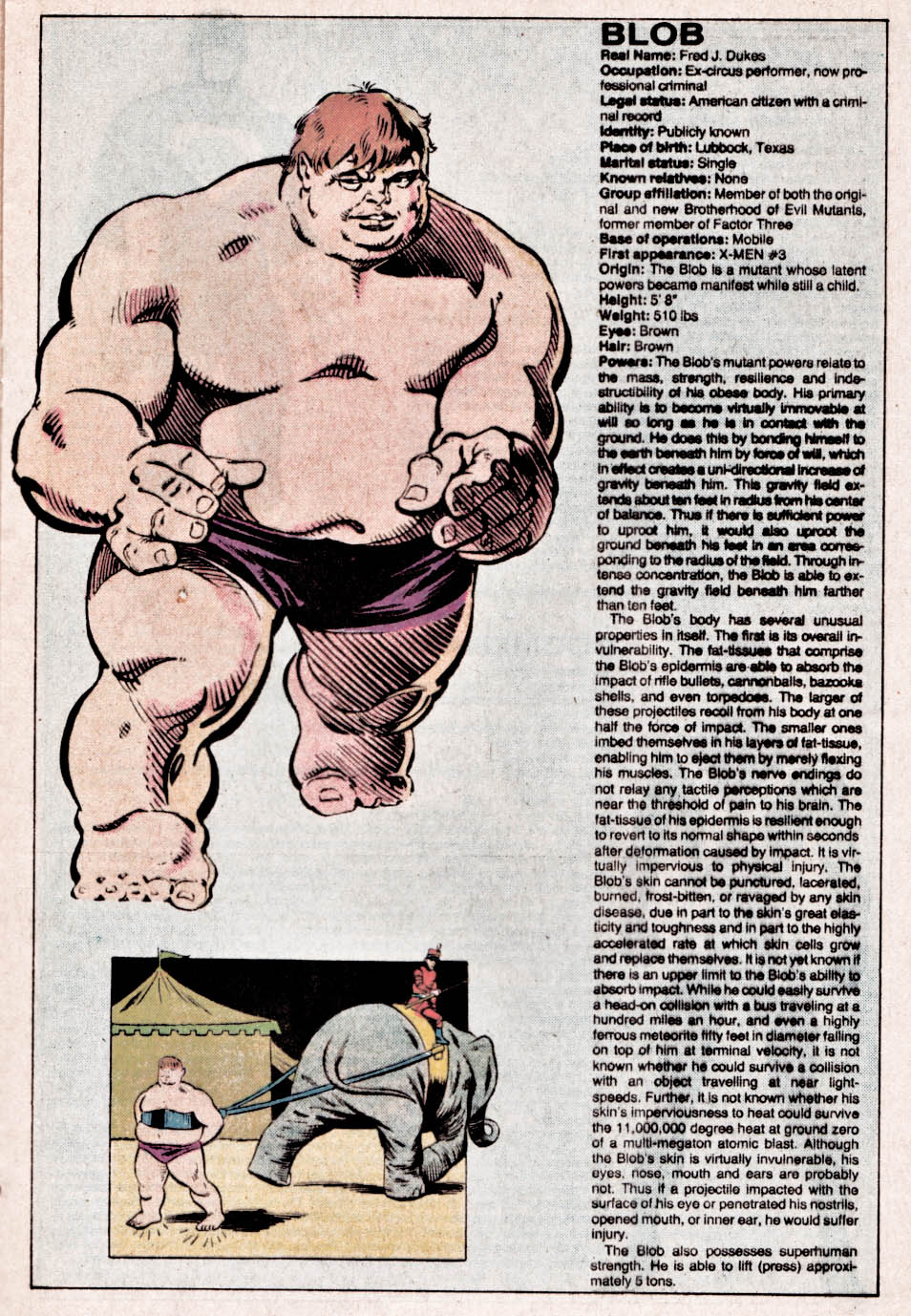 The Official Handbook of the Marvel Universe issue 2 - Page 17