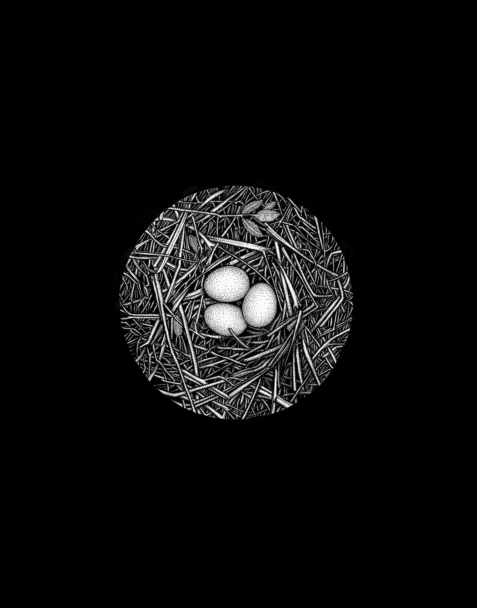 Read online Fatherland comic -  Issue # TPB (Part 1) - 10