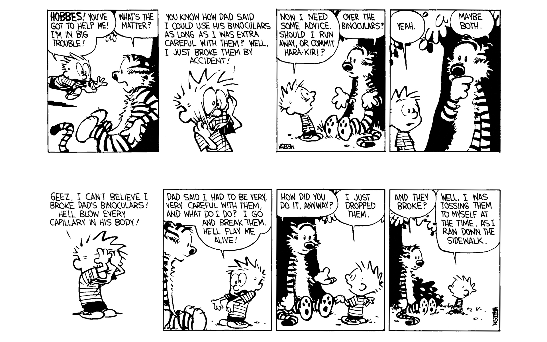 Read online Calvin and Hobbes comic -  Issue #4 - 53