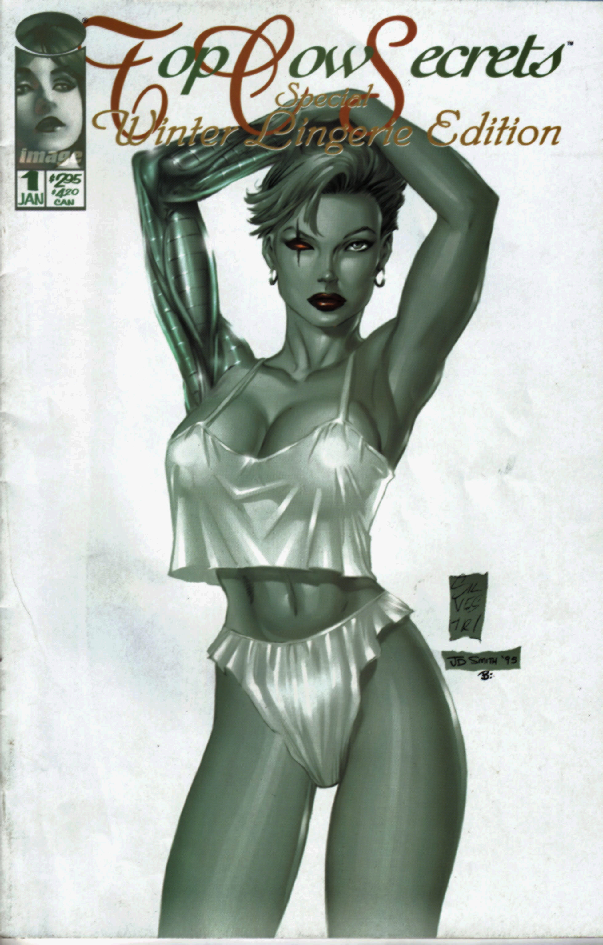 Read online Top Cow Secrets-Special Winter Lingerie Edition comic -  Issue # Full - 35