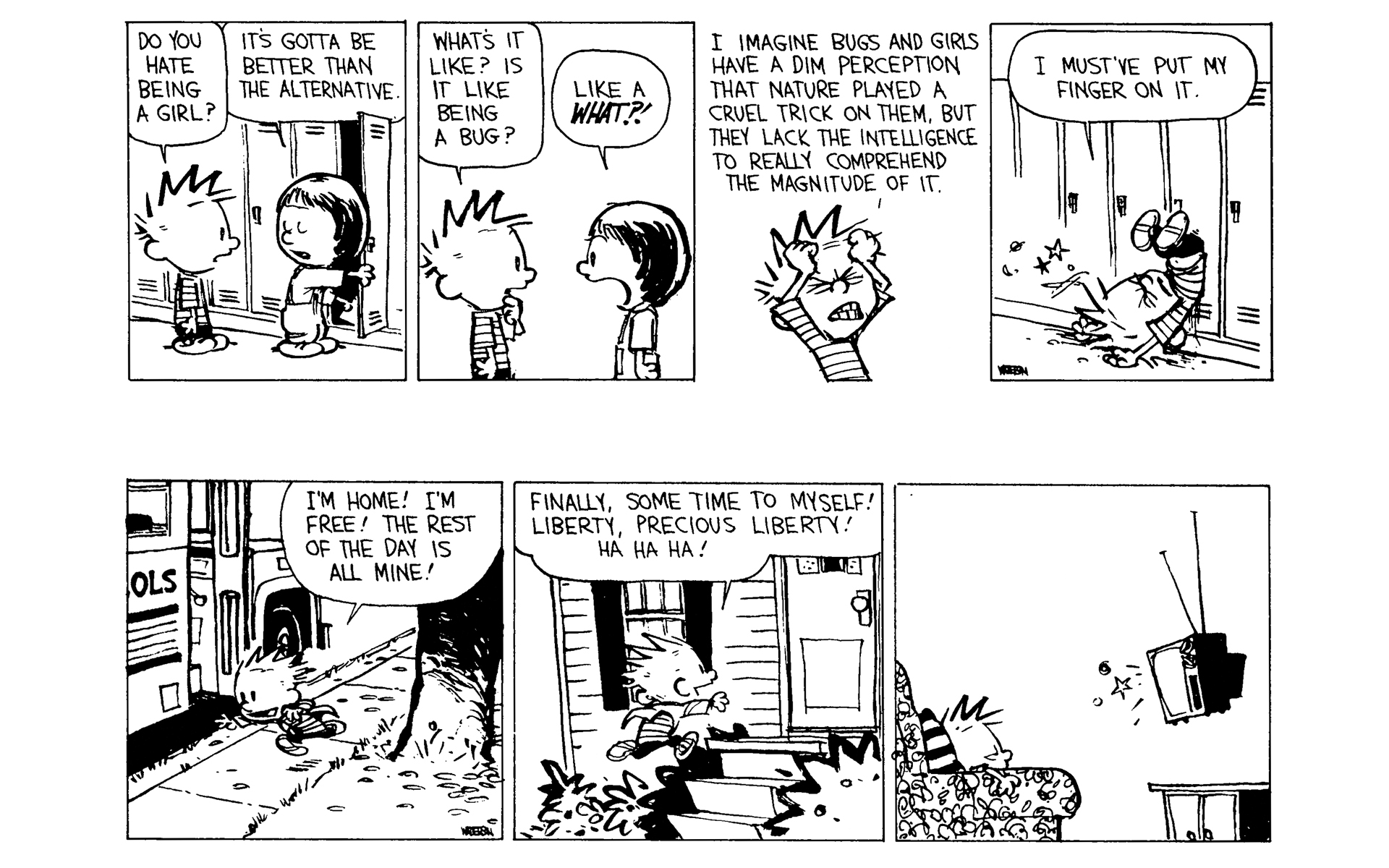 Read online Calvin and Hobbes comic -  Issue #9 - 19
