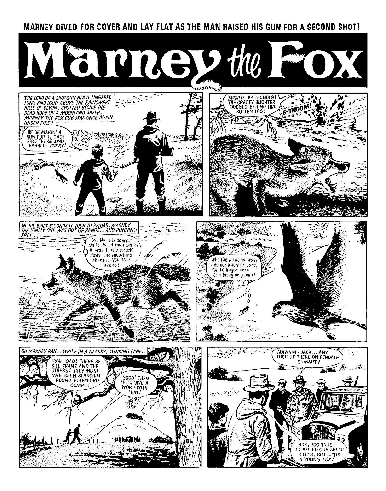 Read online Marney the Fox comic -  Issue # TPB (Part 1) - 57