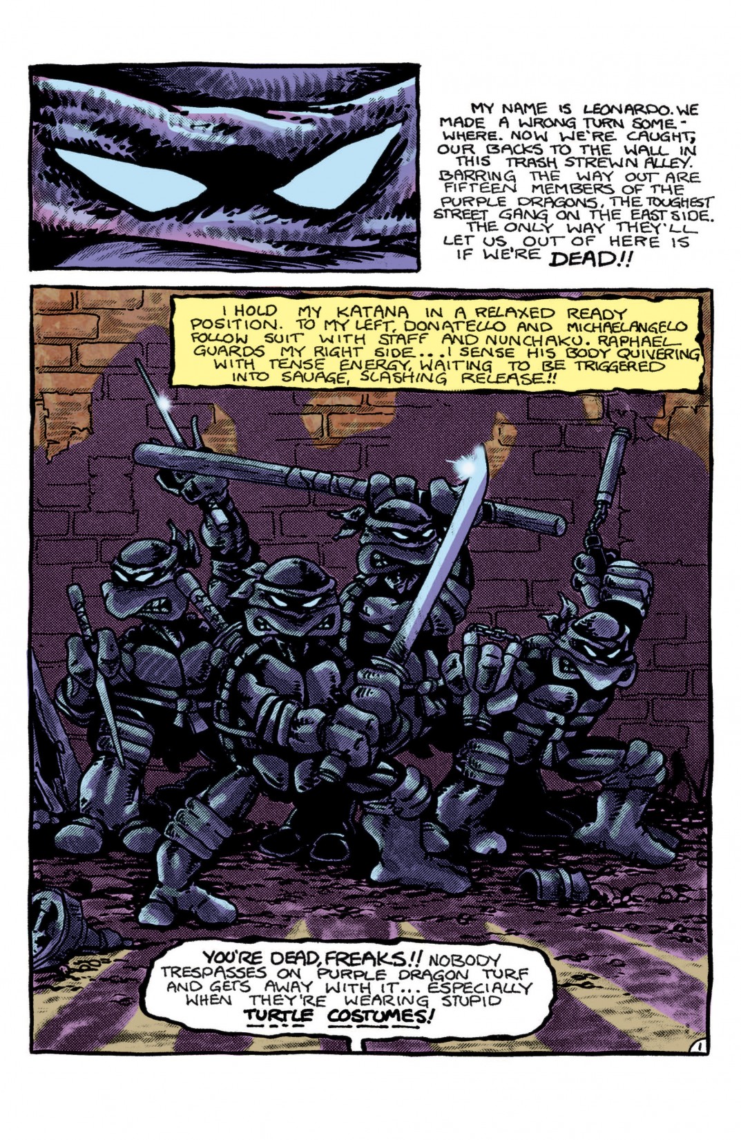 Teenage Mutant Ninja Turtles Color Classics 001 (2012) Read All