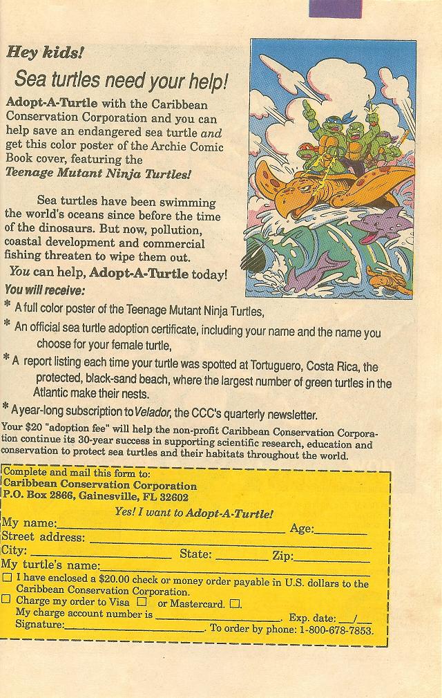 Read online Teenage Mutant Ninja Turtles Adventures (1989) comic -  Issue #17 - 32