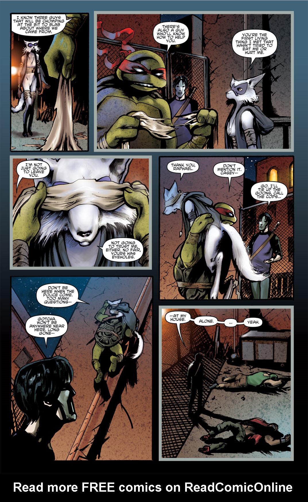 Read online Teenage Mutant Ninja Turtles Micro-Series comic -  Issue #1 - 18