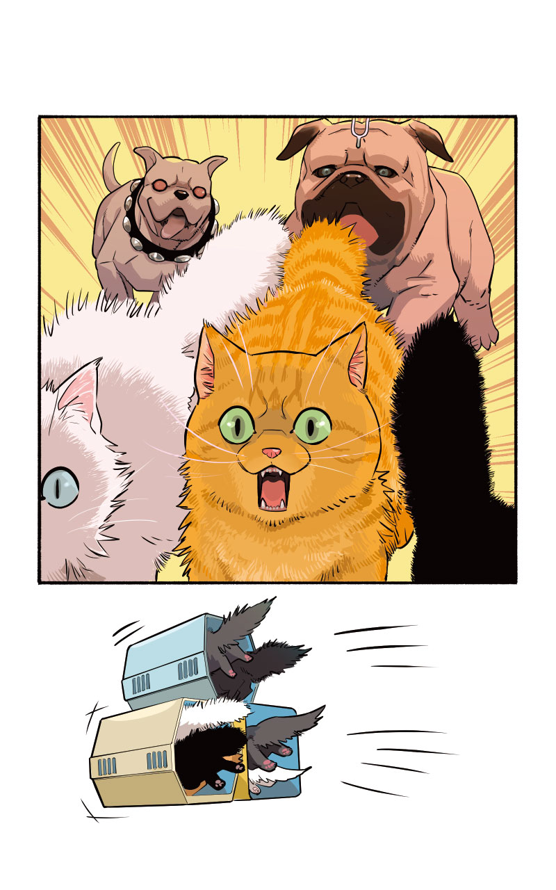 Read online Marvel Meow: Infinity Comic comic -  Issue #4 - 7