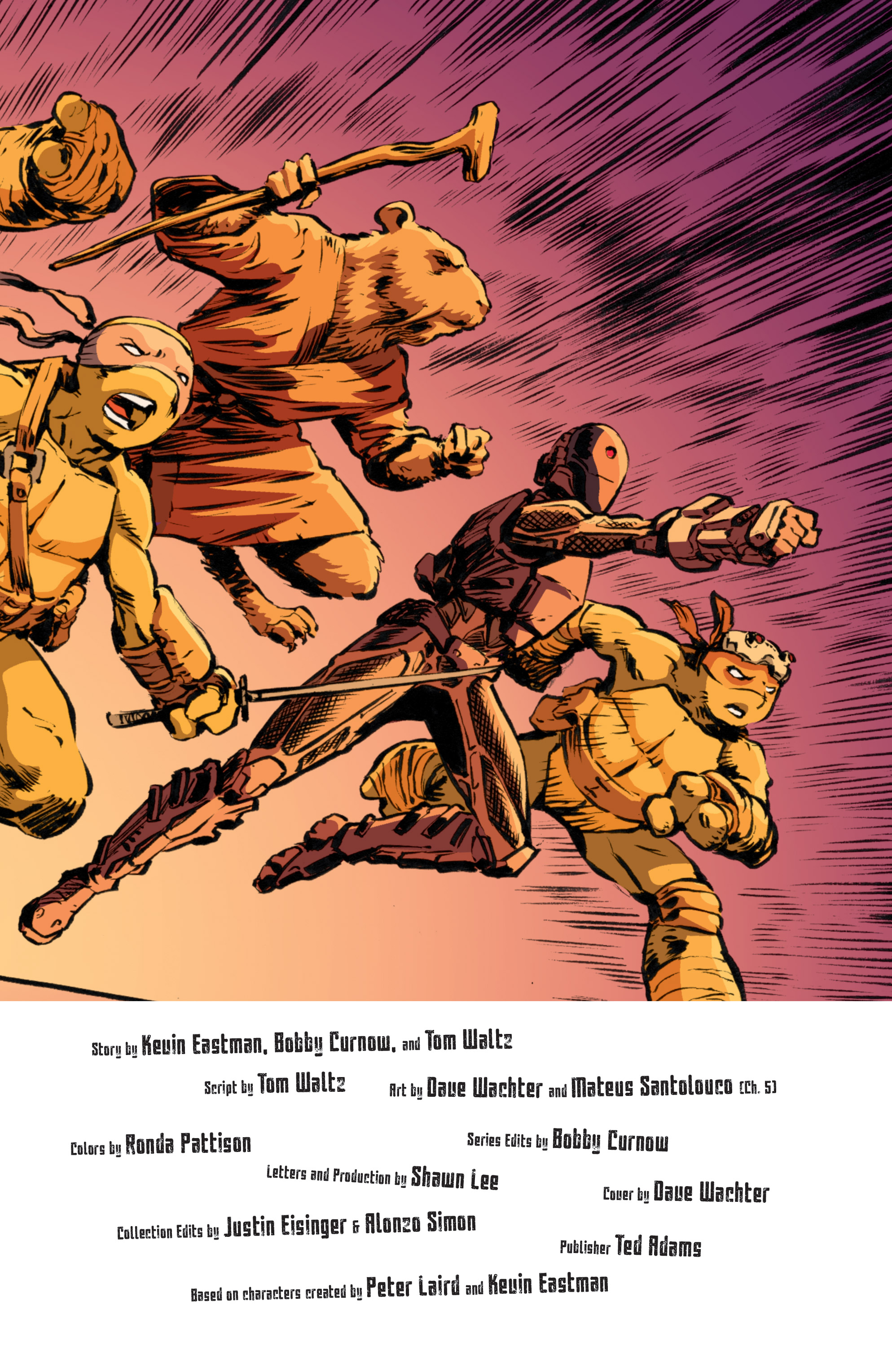 Read online Teenage Mutant Ninja Turtles (2011) comic -  Issue #70 - 27