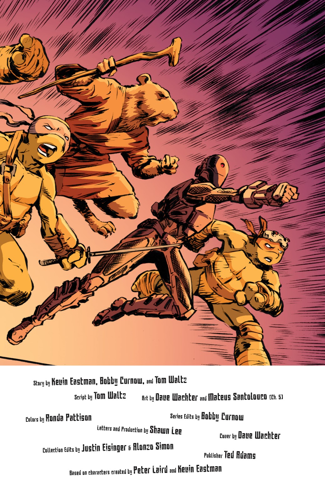 Teenage Mutant Ninja Turtles (2011) issue 70 - Page 27