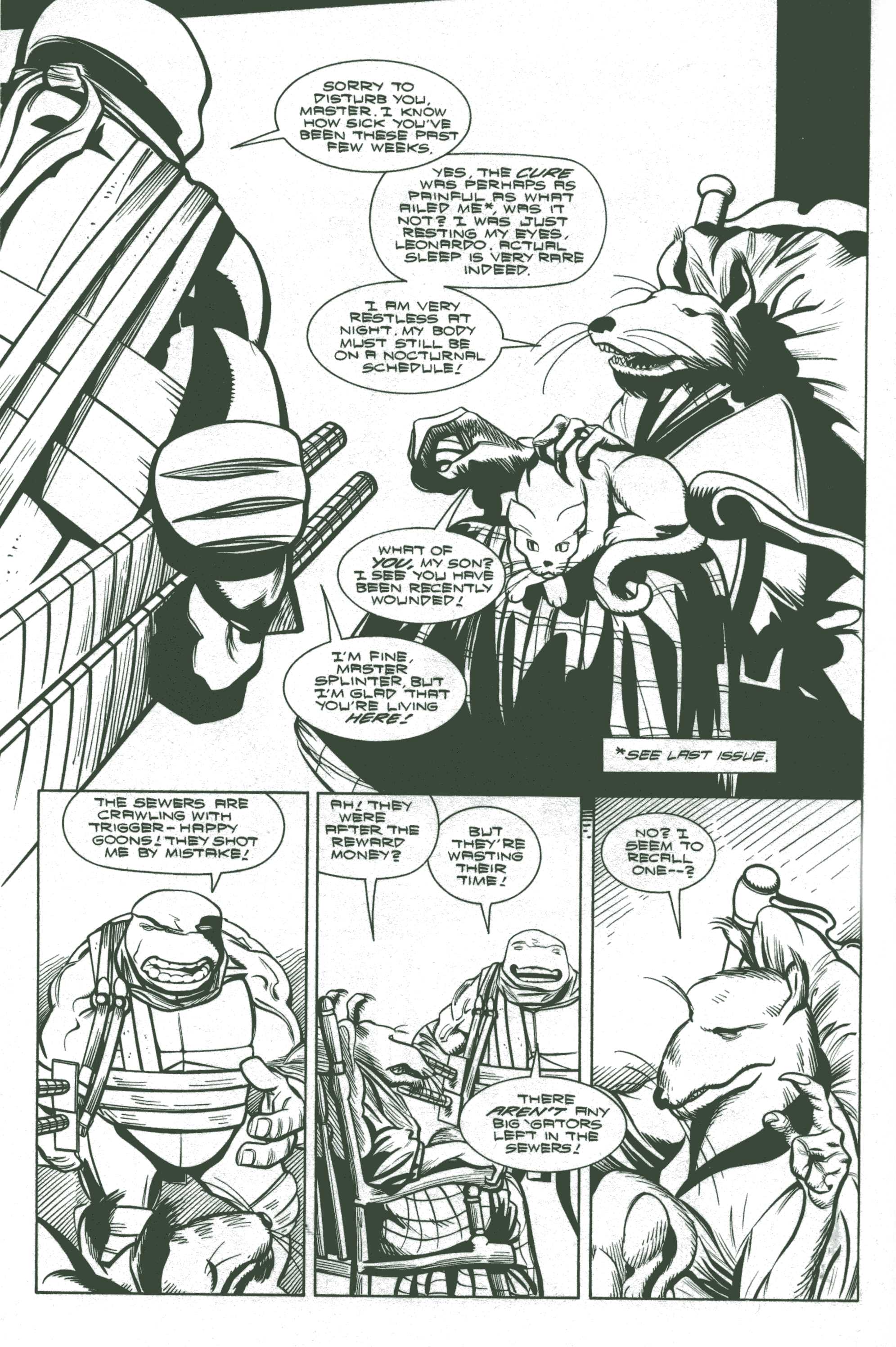 Teenage Mutant Ninja Turtles (1996) Issue #17 #17 - English 15