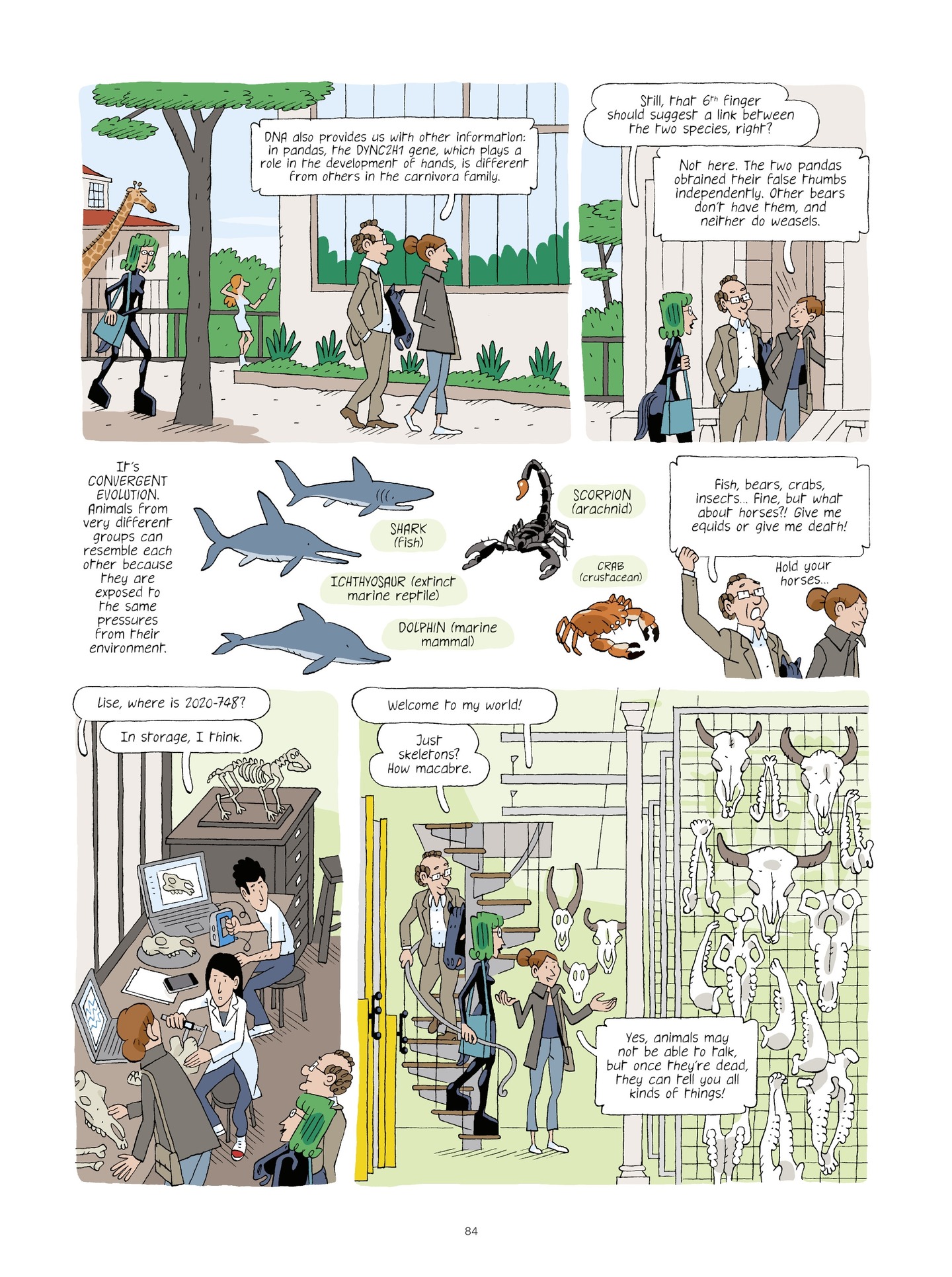 Read online Evolution, Darwin, God, and the Horse-People comic -  Issue # TPB - 83