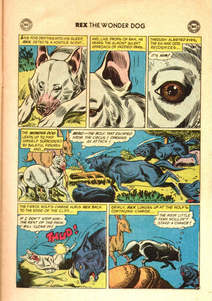 Read online The Adventures of Rex the Wonder Dog comic -  Issue #31 - 11