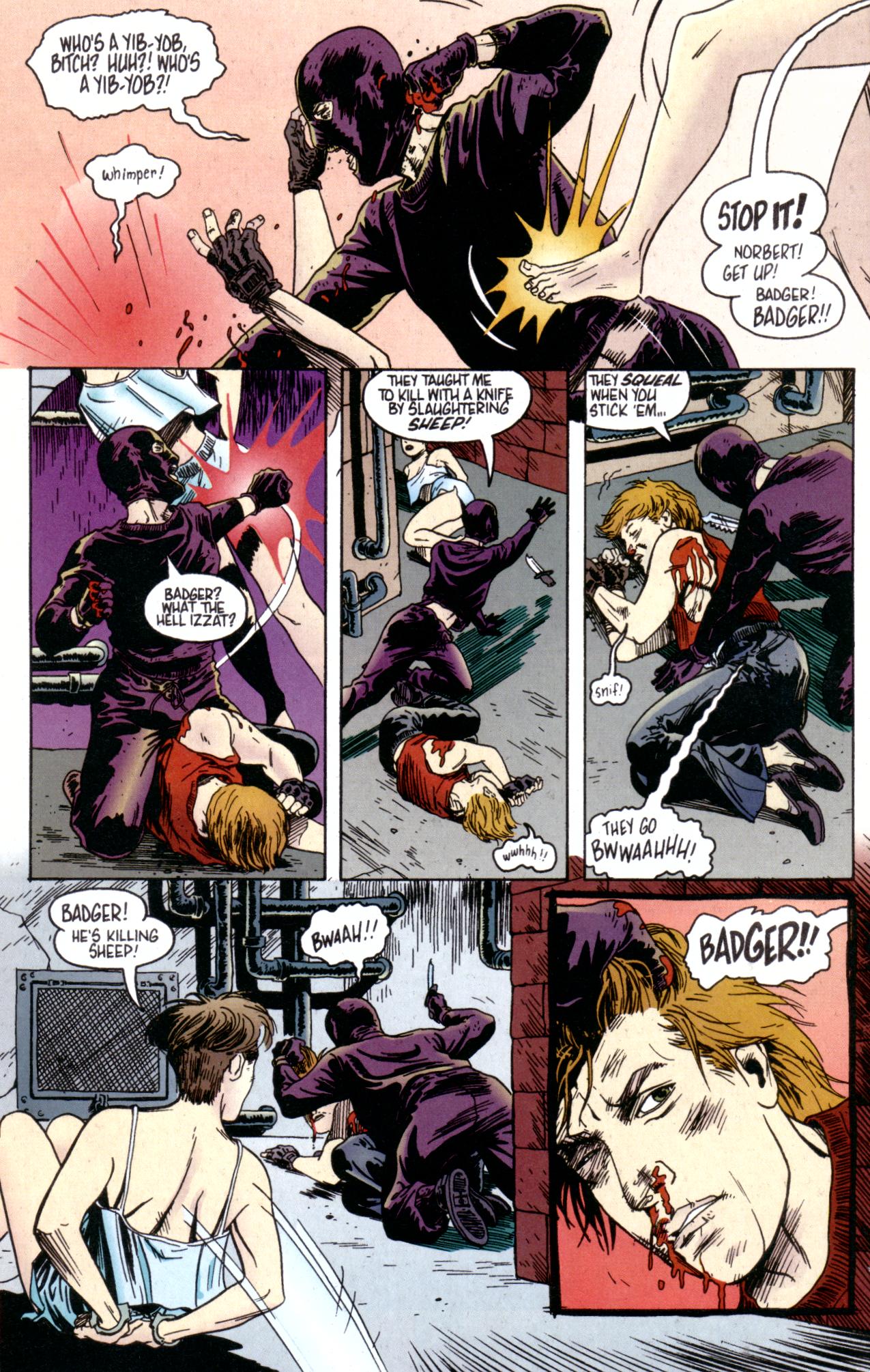 Read online Badger: Shattered Mirror comic -  Issue #4 - 18