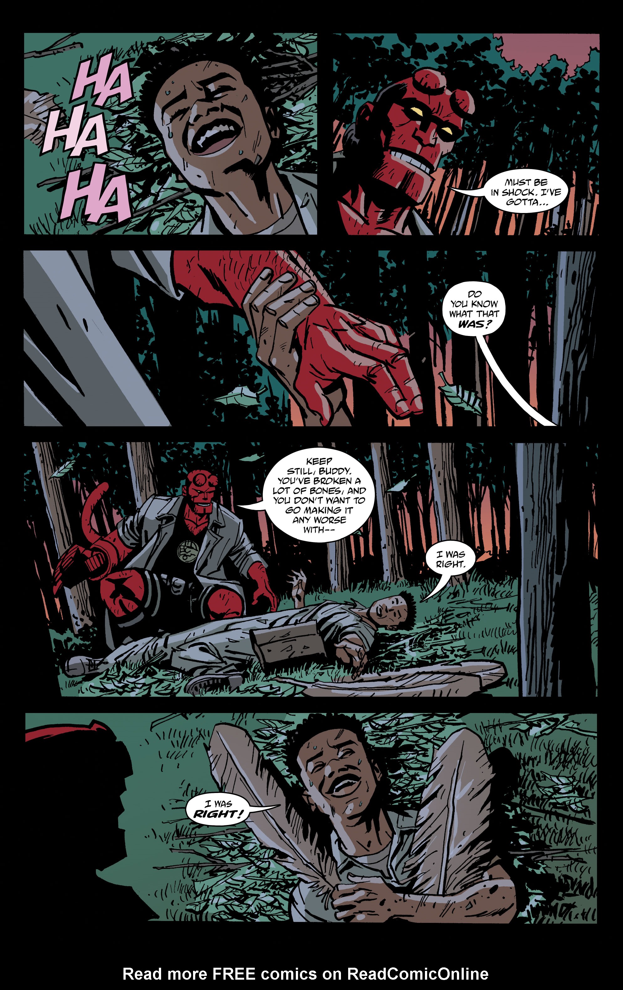Read online Hellboy And The B.P.R.D.: 1957 - Falling Sky comic -  Issue # Full - 23
