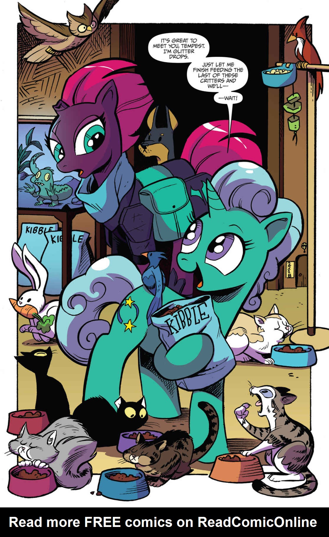 Read online My Little Pony: Friendship is Magic comic -  Issue #67 - 11