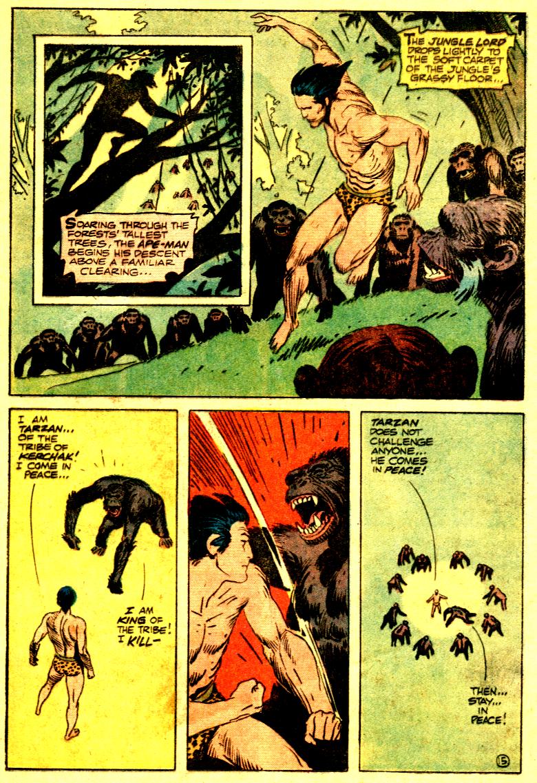 Read online Tarzan (1972) comic -  Issue #222 - 17