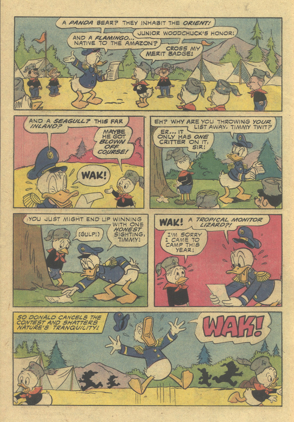 Read online Huey, Dewey, and Louie Junior Woodchucks comic -  Issue #34 - 6