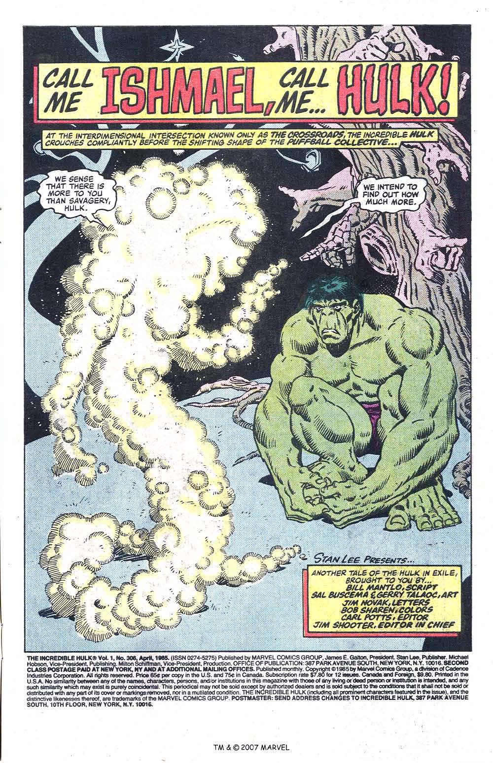 Read online The Incredible Hulk (1968) comic -  Issue #306 - 3