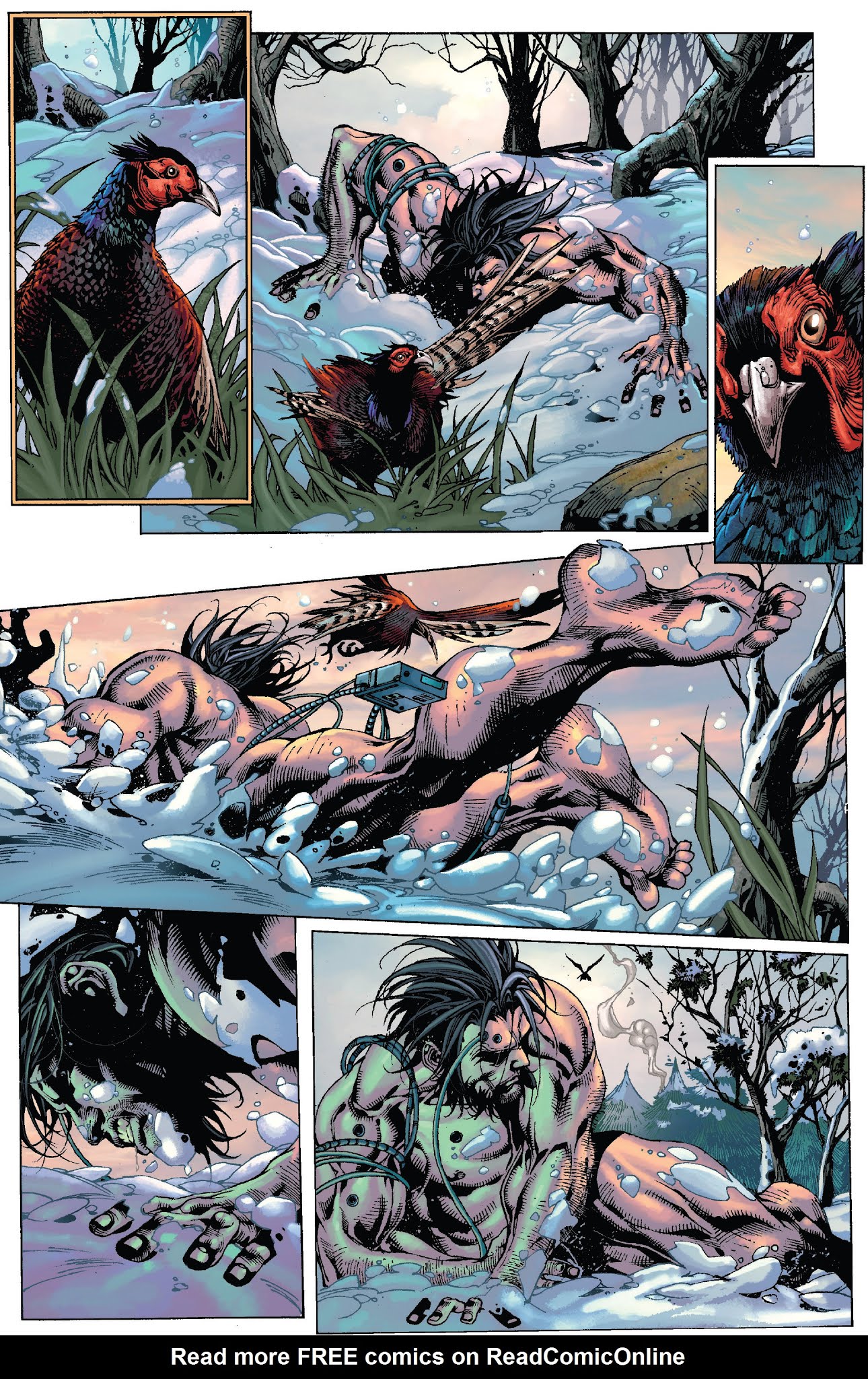 Read online Wolverine: Prehistory comic -  Issue # TPB (Part 4) - 50