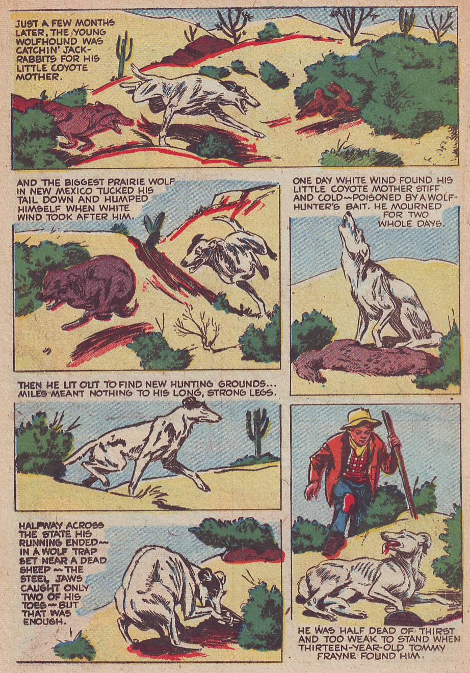 Read online Animal Comics comic -  Issue #30 - 30