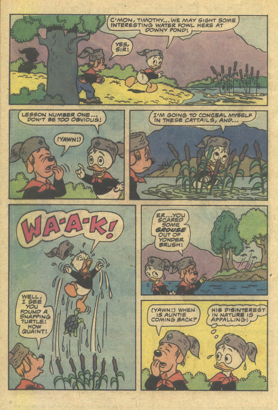 Read online Huey, Dewey, and Louie Junior Woodchucks comic -  Issue #67 - 20
