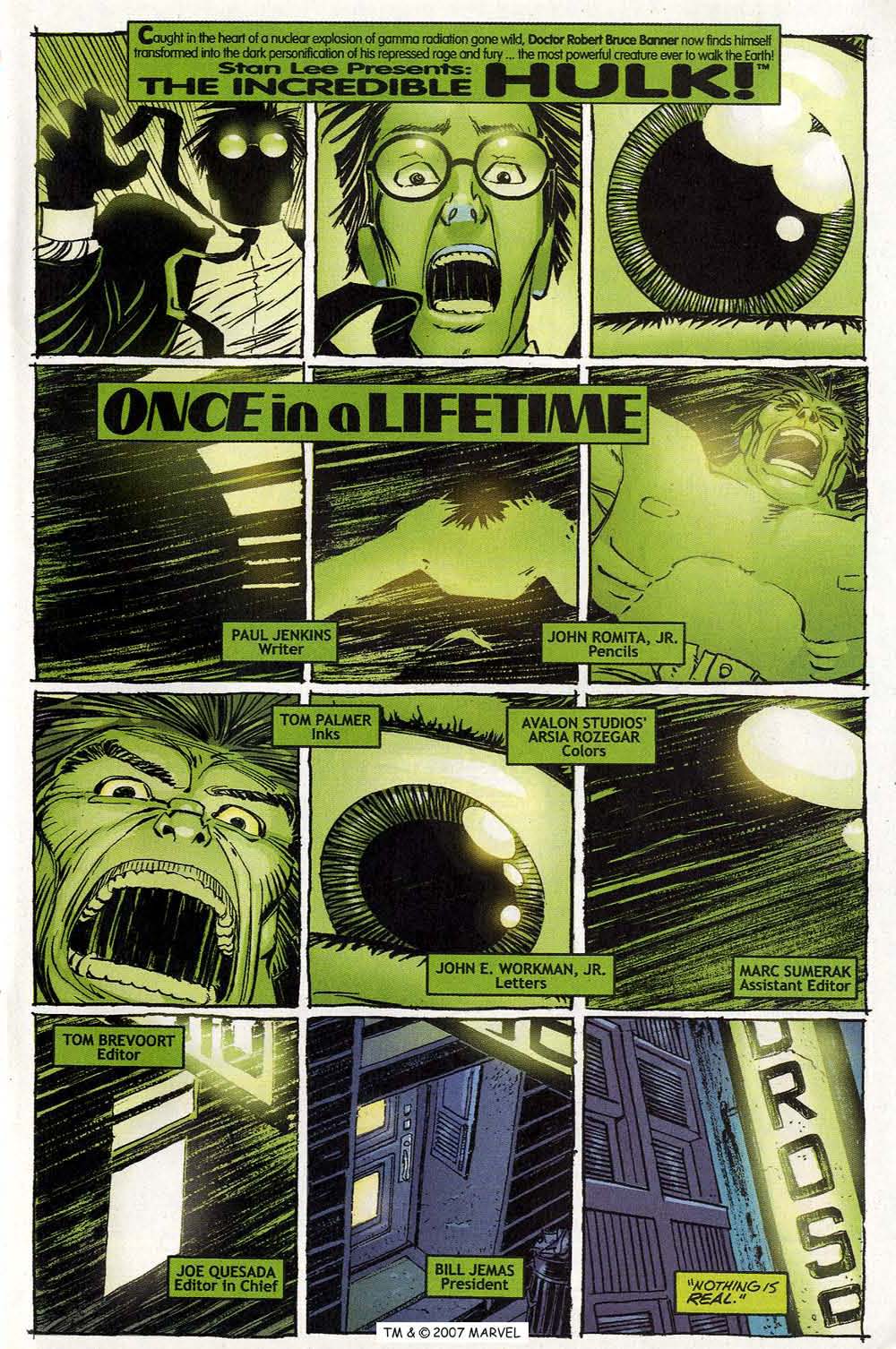 The Incredible Hulk (2000) Issue #28 #17 - English 3