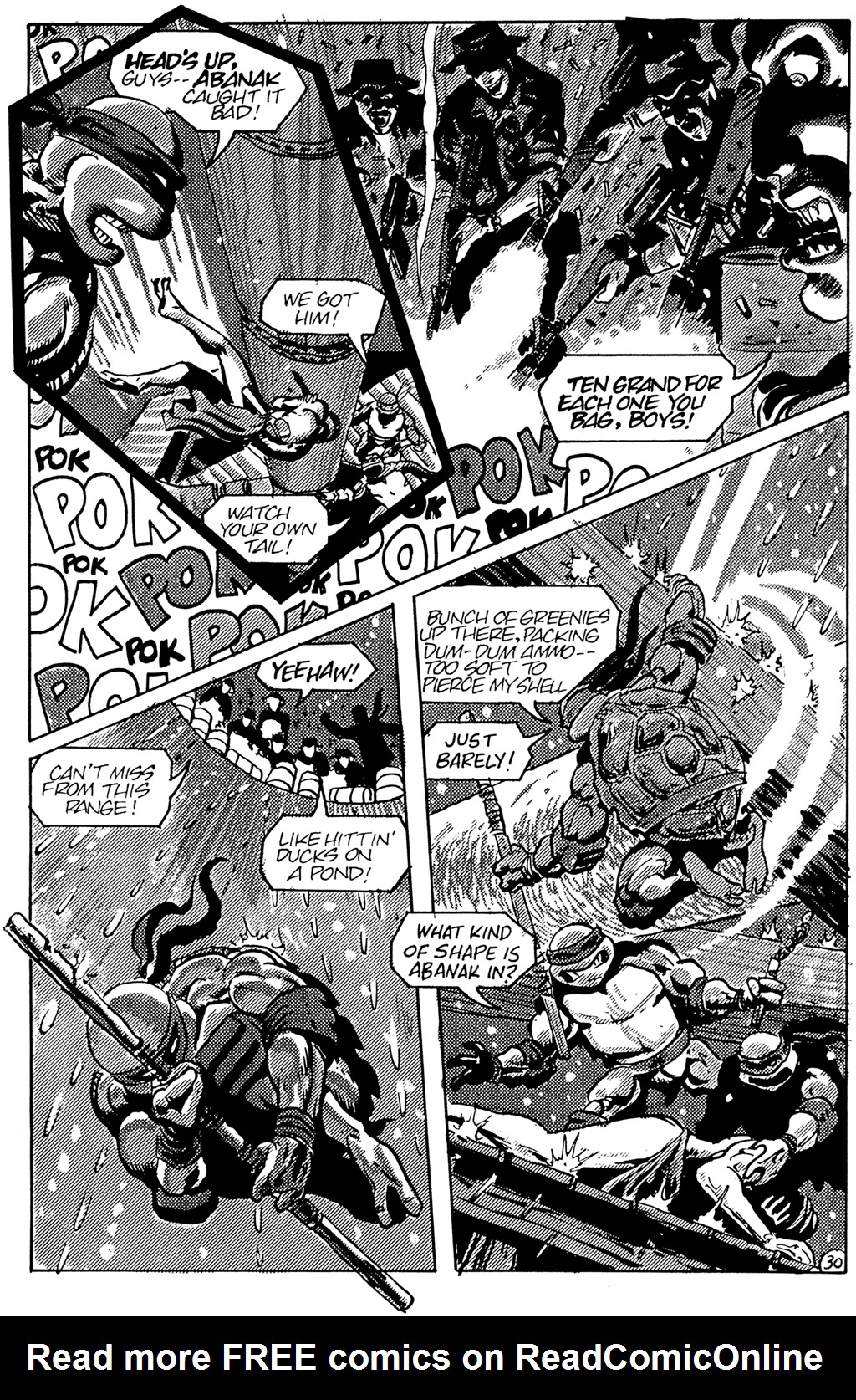 Read online Teenage Mutant Ninja Turtles (1984) comic -  Issue #25 - 32