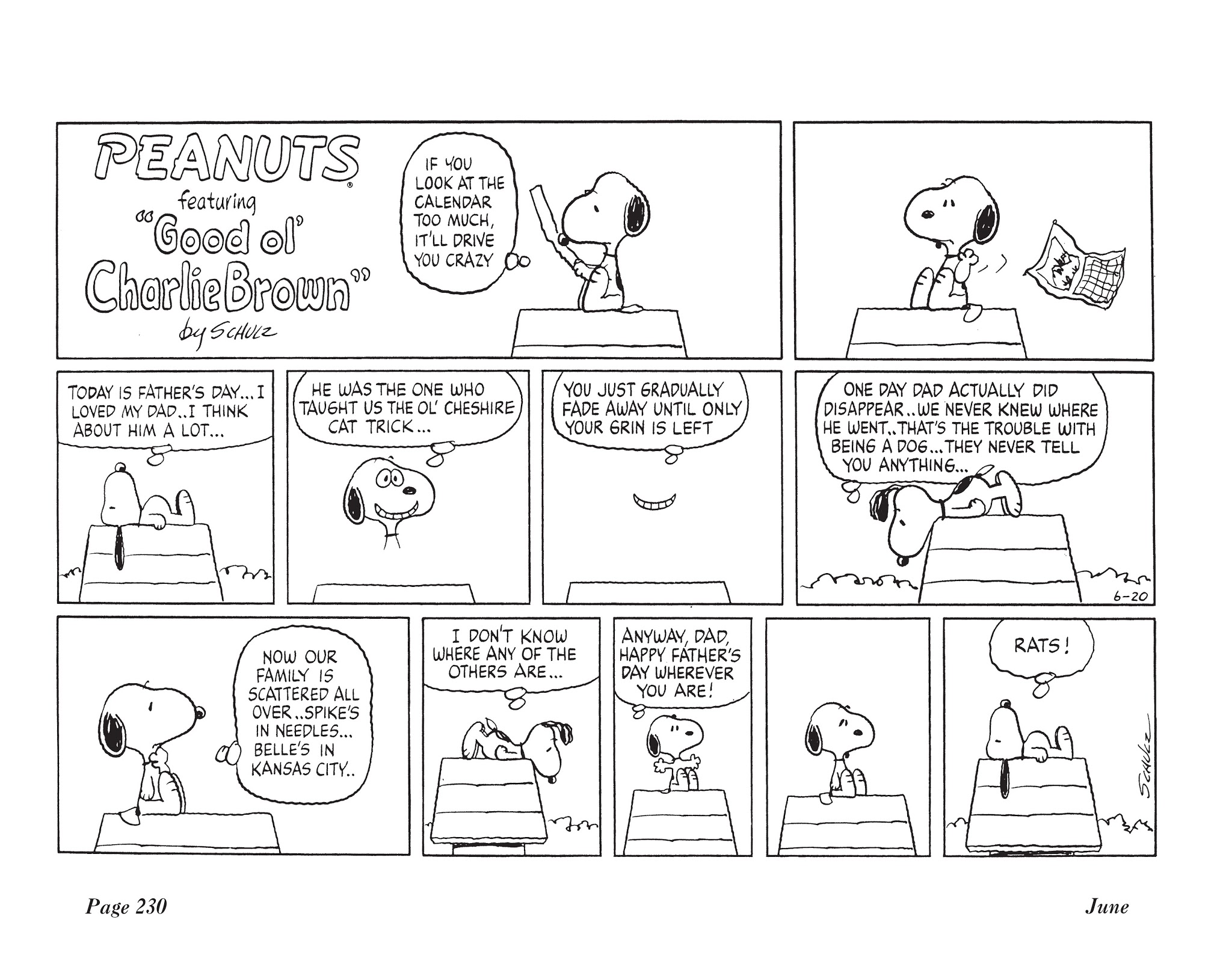 Read online The Complete Peanuts comic -  Issue # TPB 16 - 248