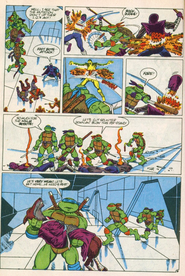 Teenage Mutant Ninja Turtles Adventures (1988) Issue #2 #2 - English 9