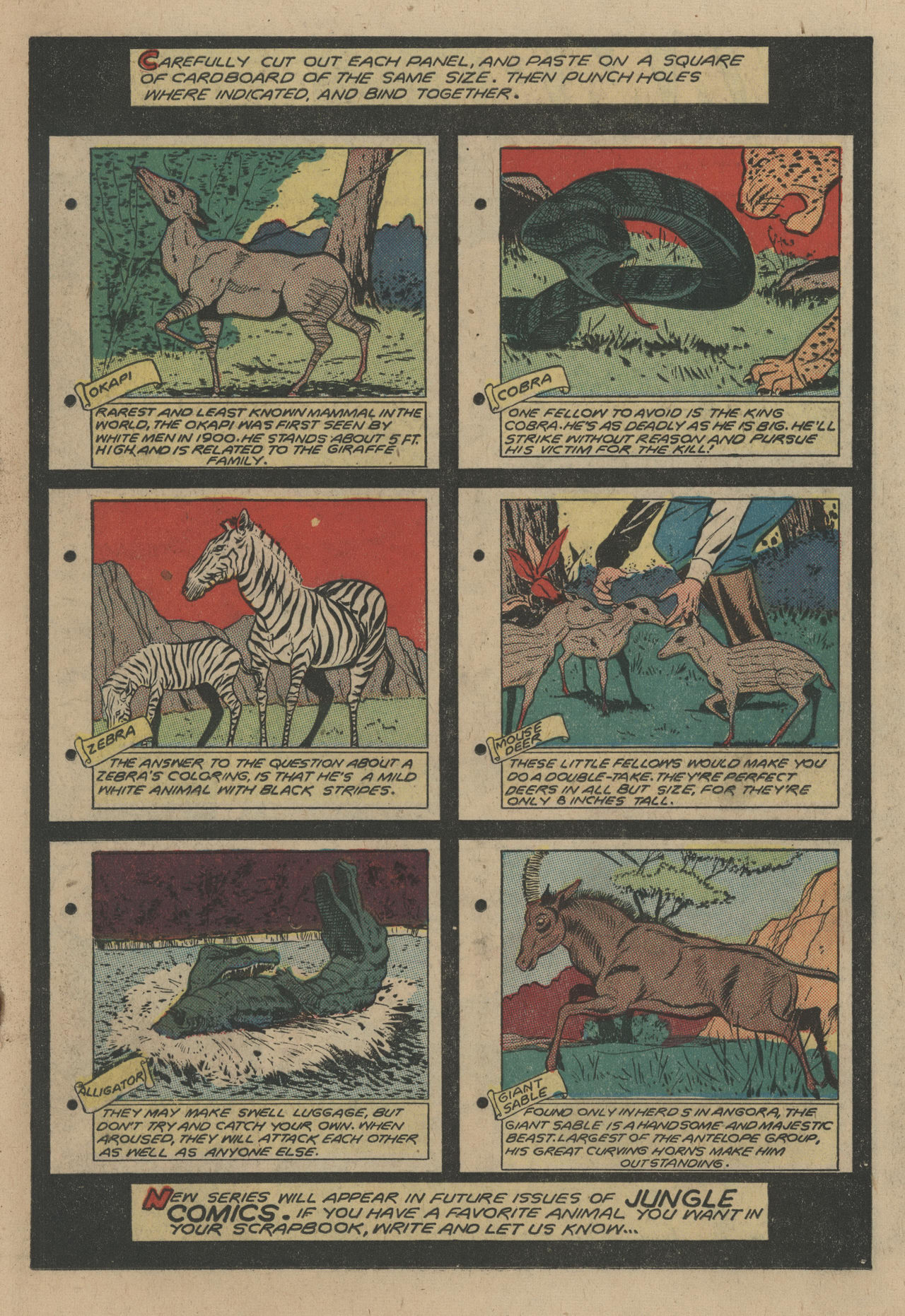 Read online Jungle Comics comic -  Issue #106 - 27