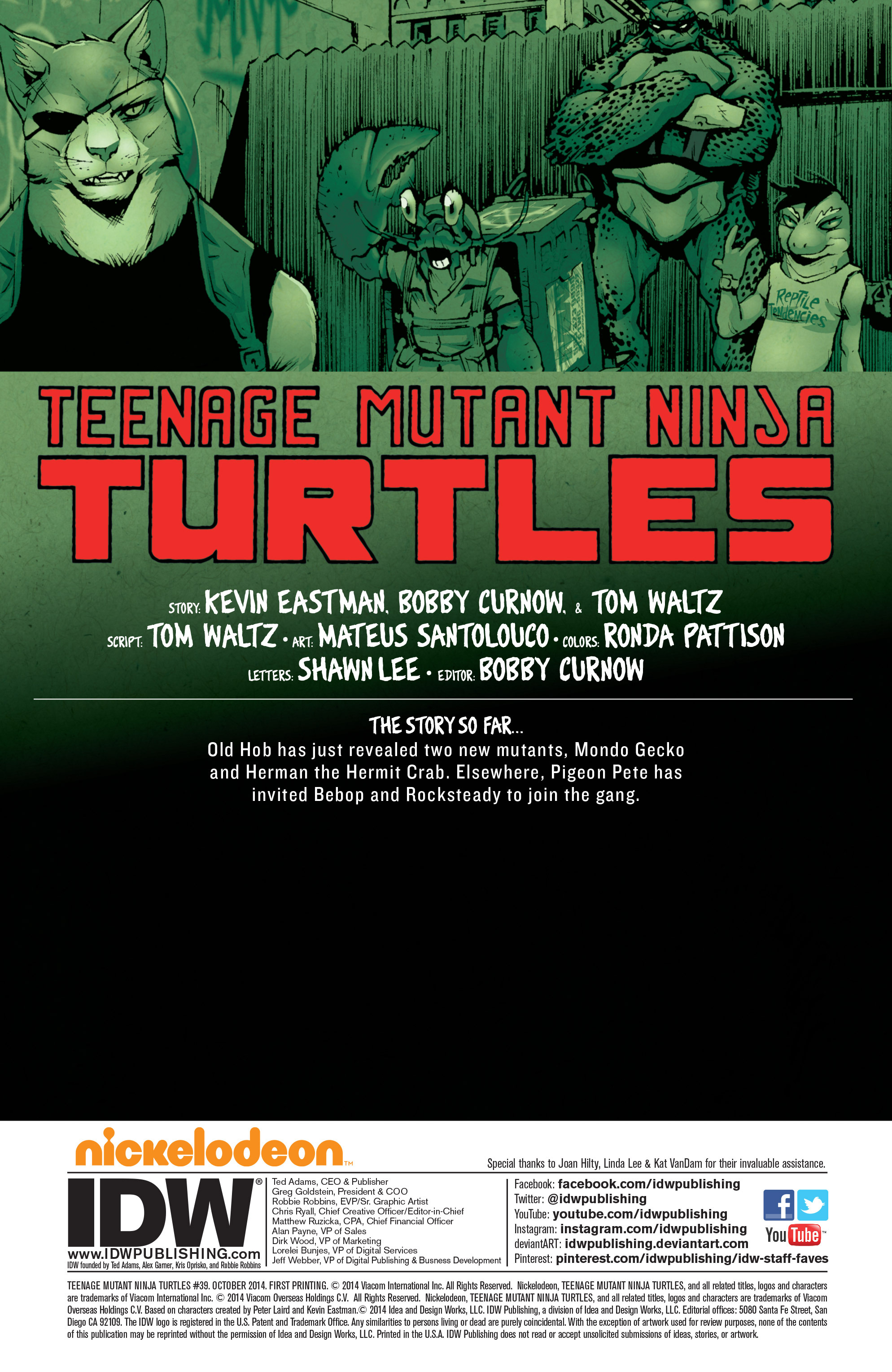 Read online Teenage Mutant Ninja Turtles (2011) comic -  Issue #39 - 2