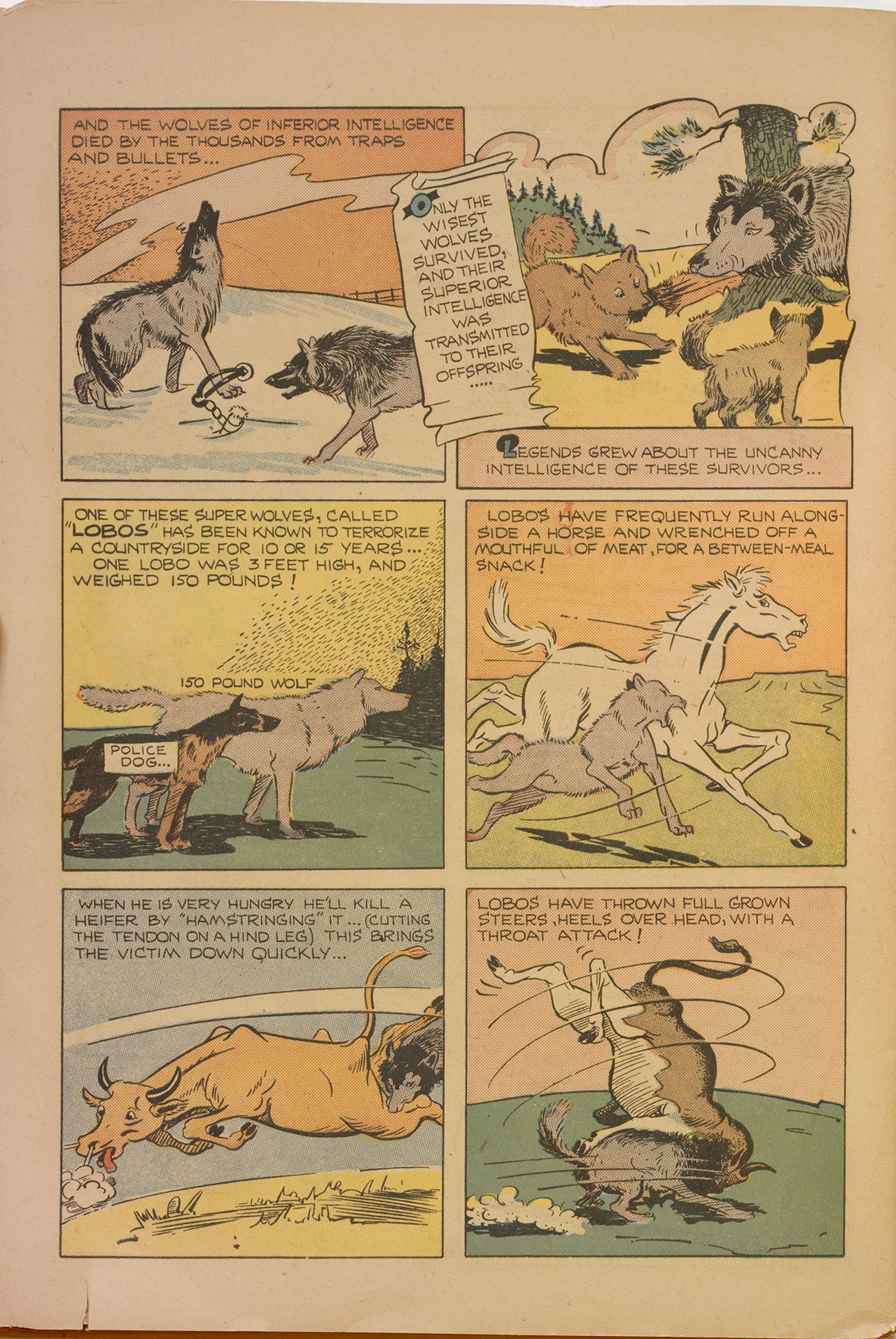 Read online Cosmo Cat Comics comic -  Issue #5 - 30