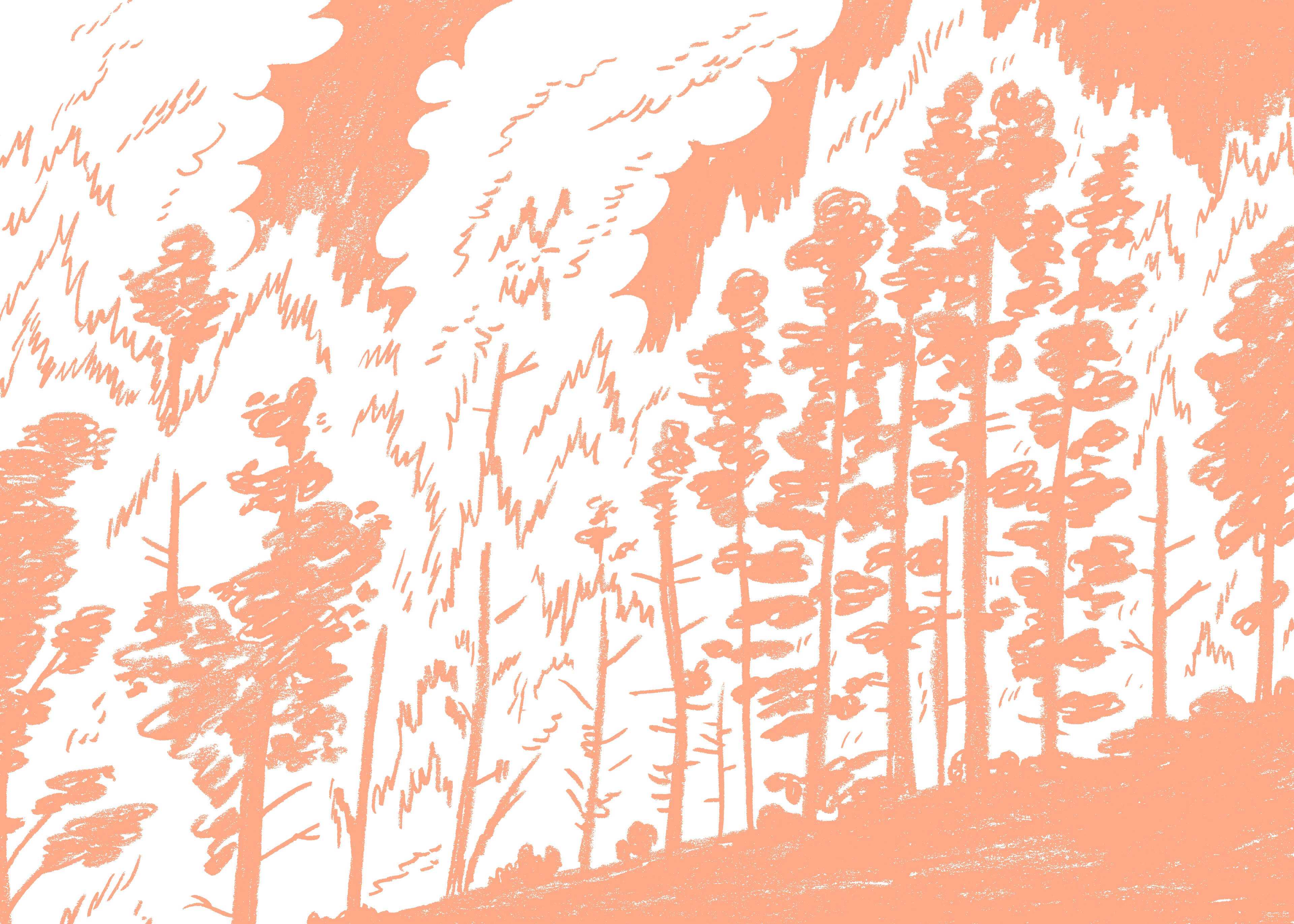 Read online Summer Fires comic -  Issue # TPB (Part 2) - 109