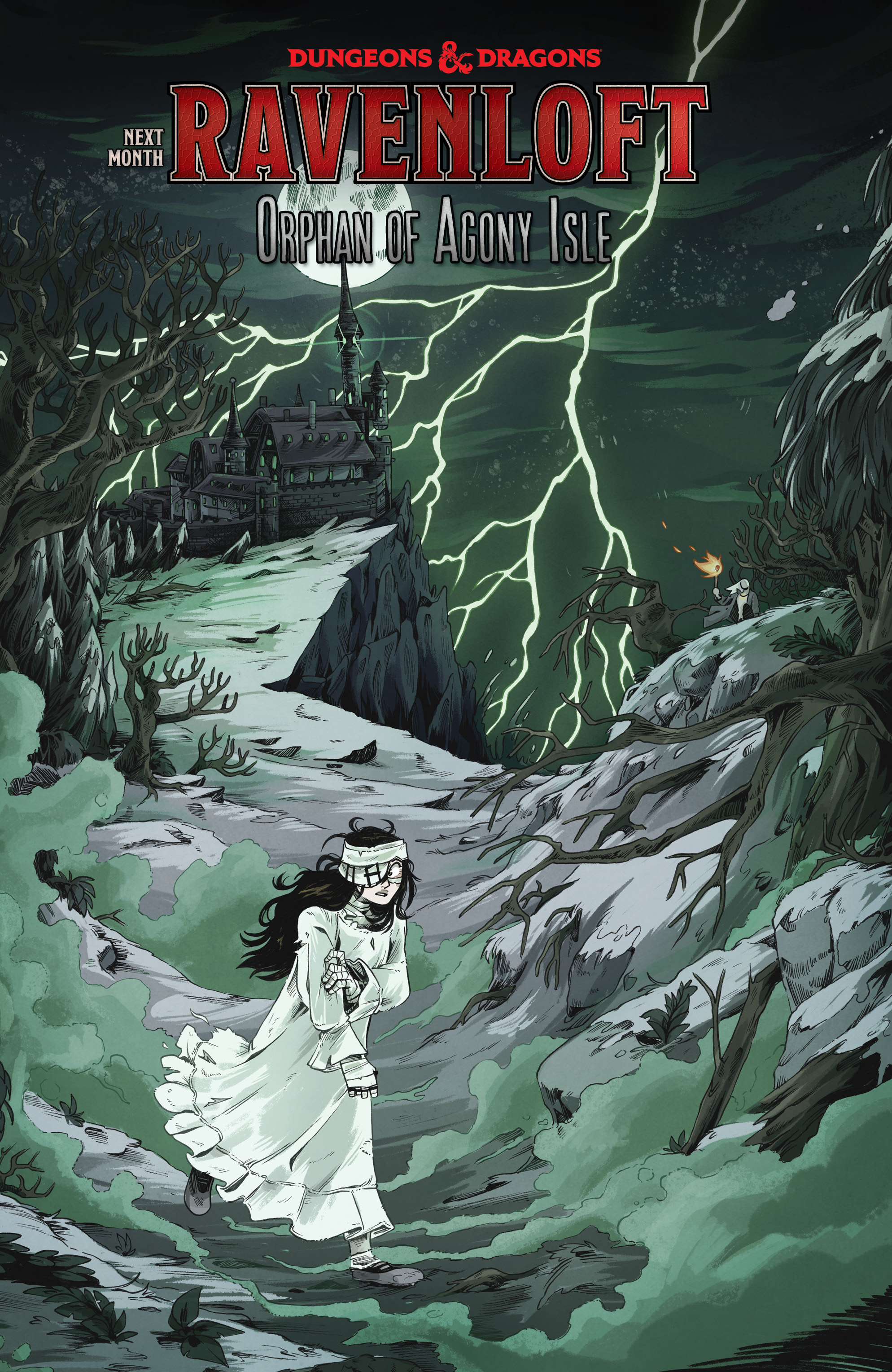 Read online Dungeons & Dragons: Ravenloft – Orphan of Agony Isle comic -  Issue #2 - 23
