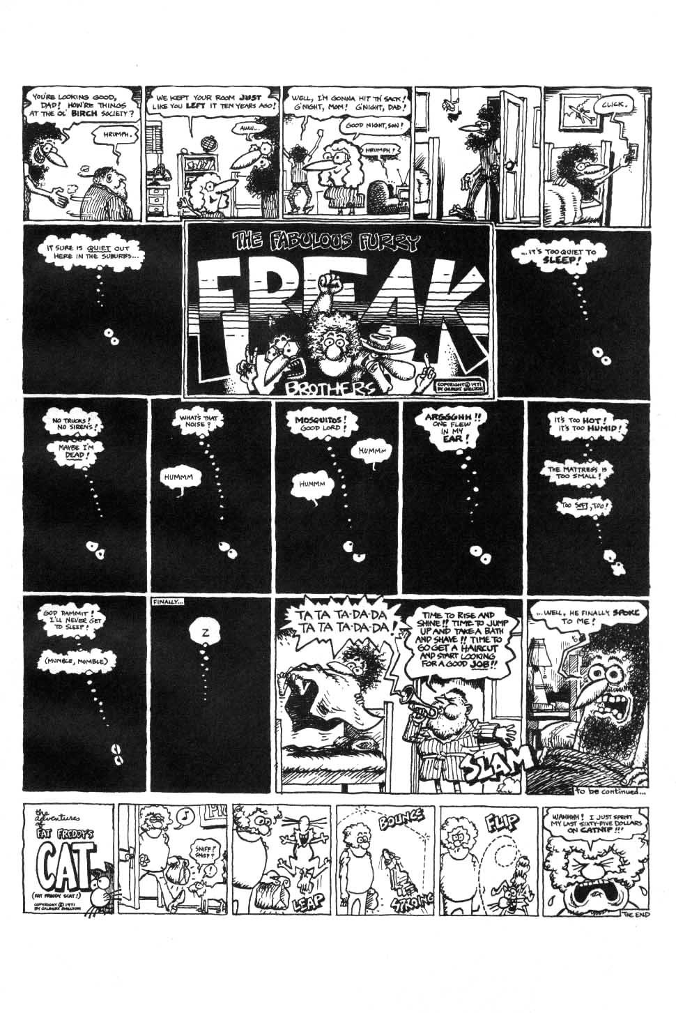 The Fabulous Furry Freak Brothers issue 2 - Page 37