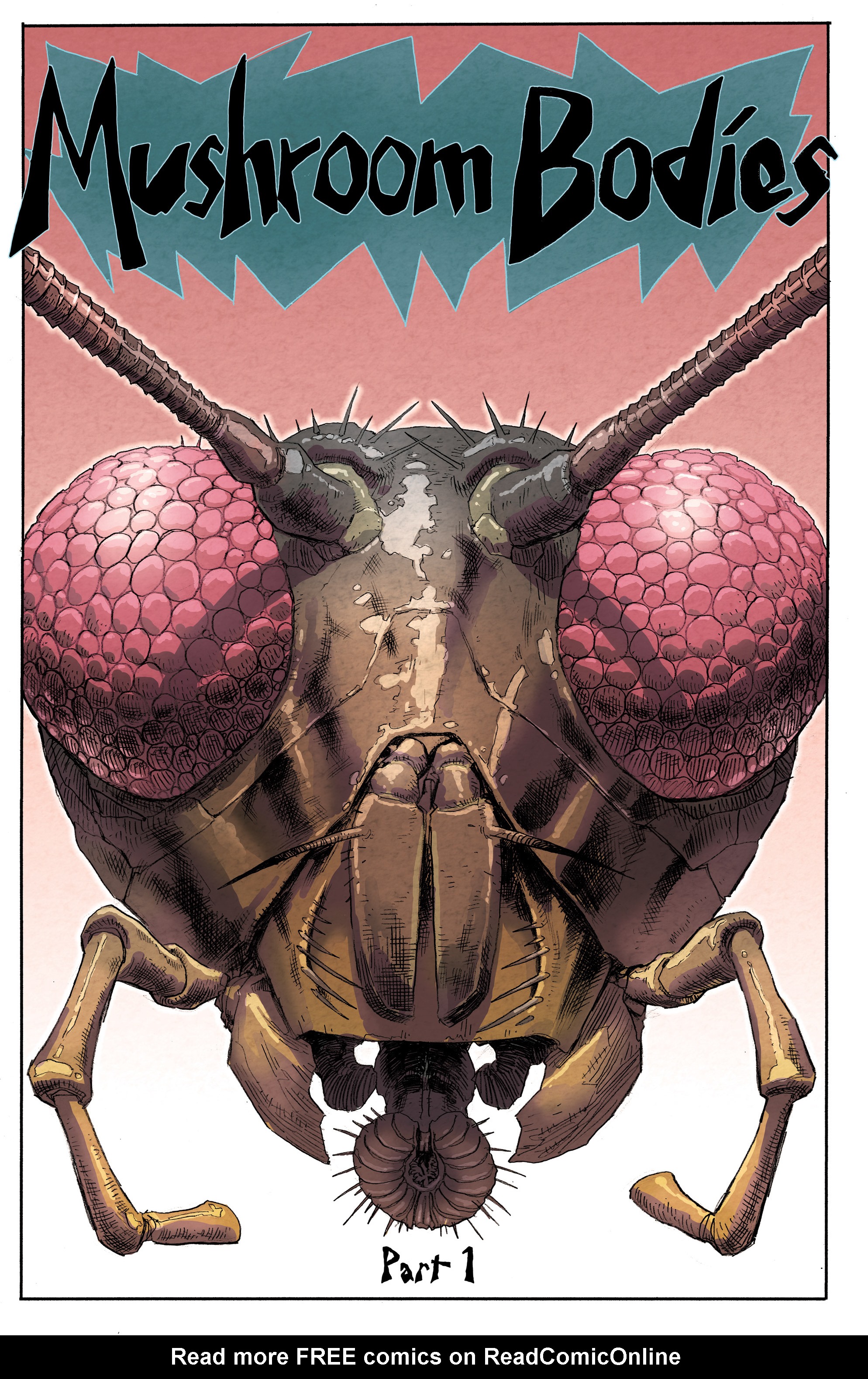 Read online Paklis comic -  Issue #1 - 4
