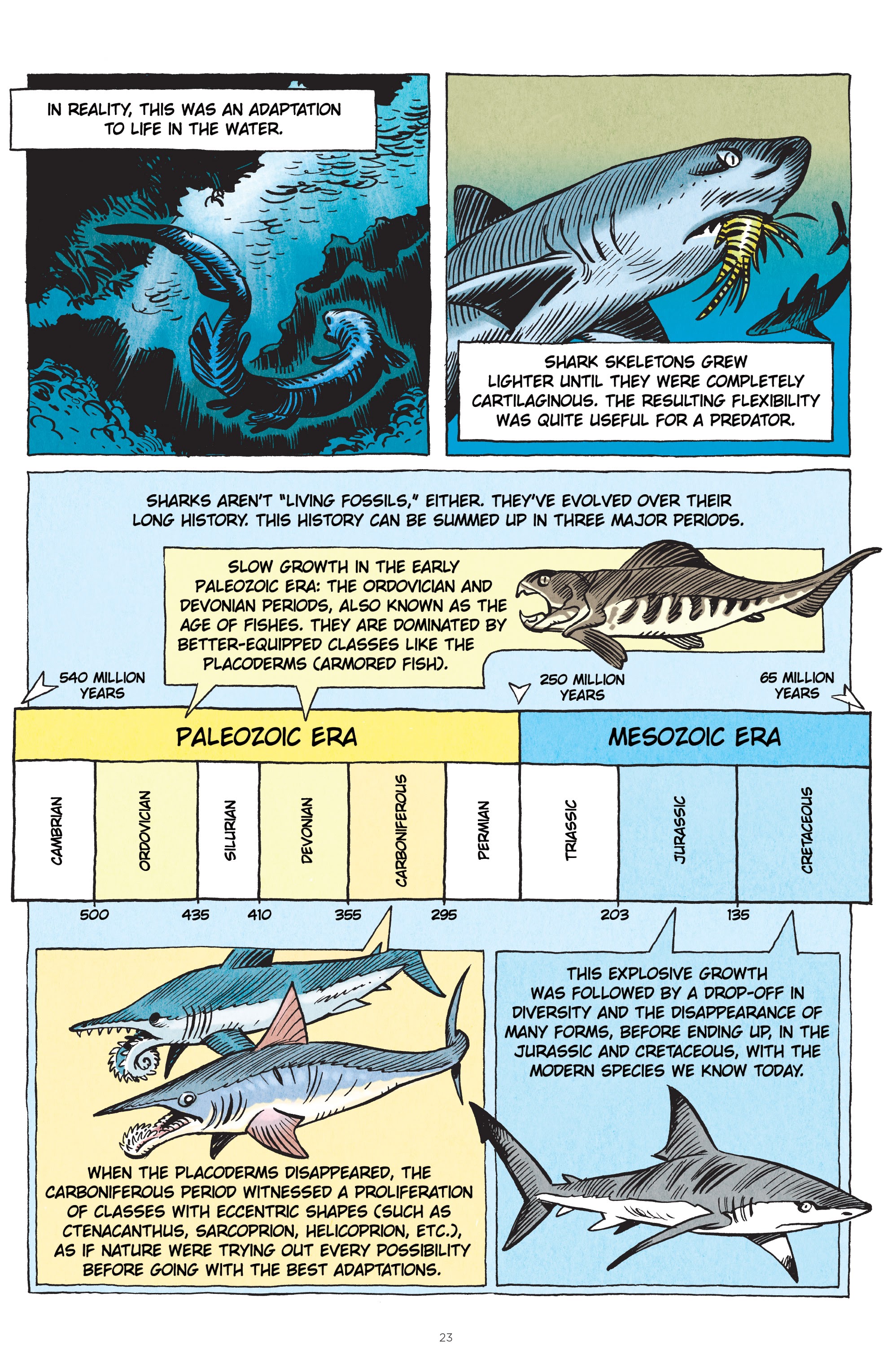 Read online Little Book of Knowledge: Sharks comic -  Issue # TPB - 23