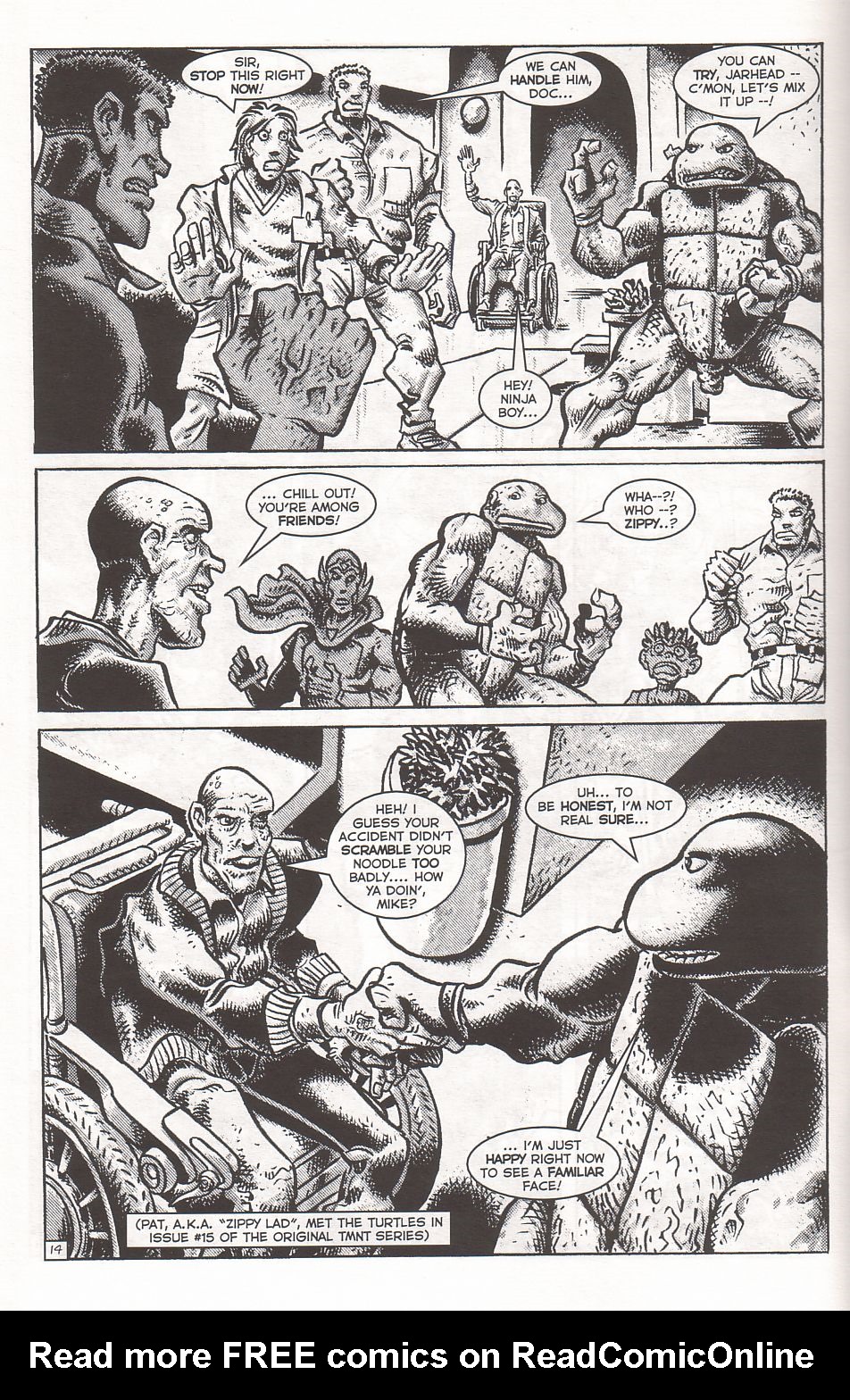 TMNT: Teenage Mutant Ninja Turtles issue 2 - Page 17
