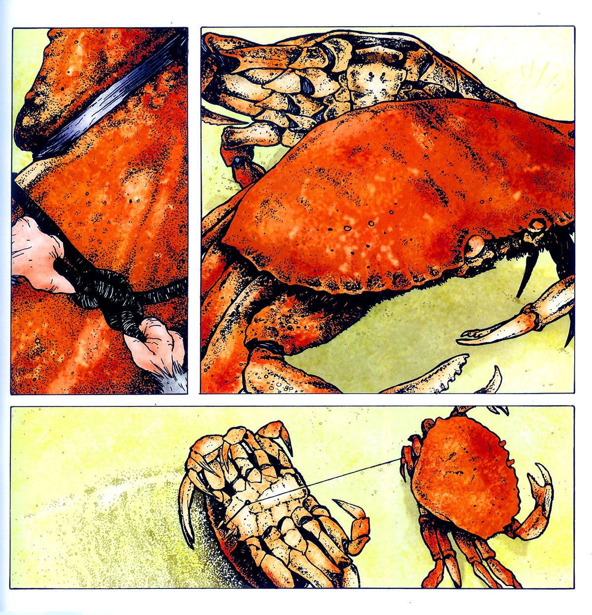 Read online Mouse Guard comic -  Issue #2 - 21