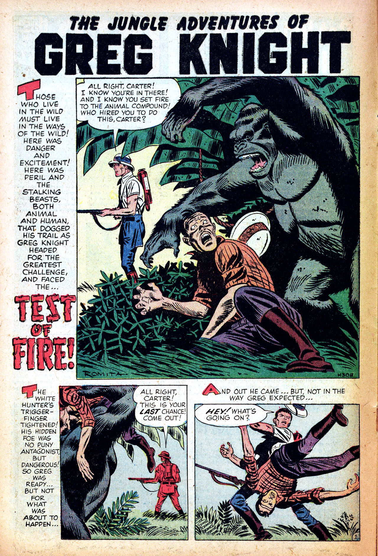 Read online Lorna, The Jungle Girl comic -  Issue #17 - 16