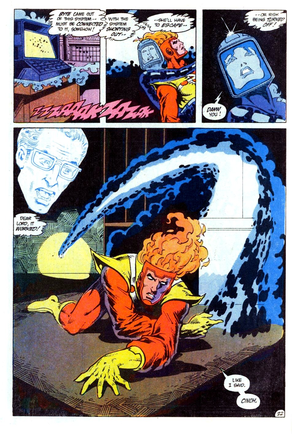 The Fury of Firestorm Issue #23 #27 - English 23