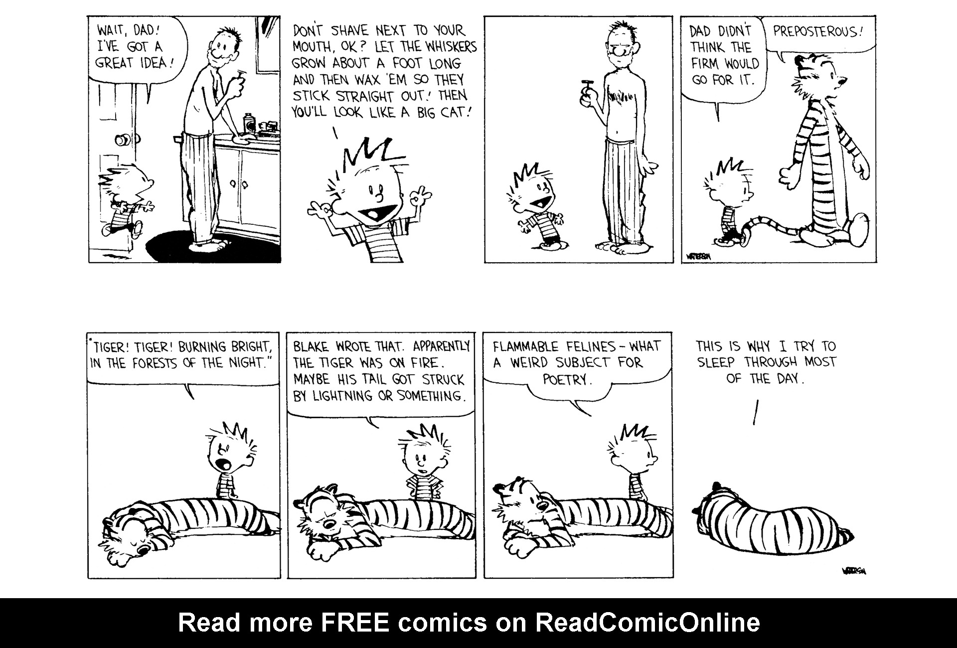 Read online Calvin and Hobbes comic -  Issue #9 - 84