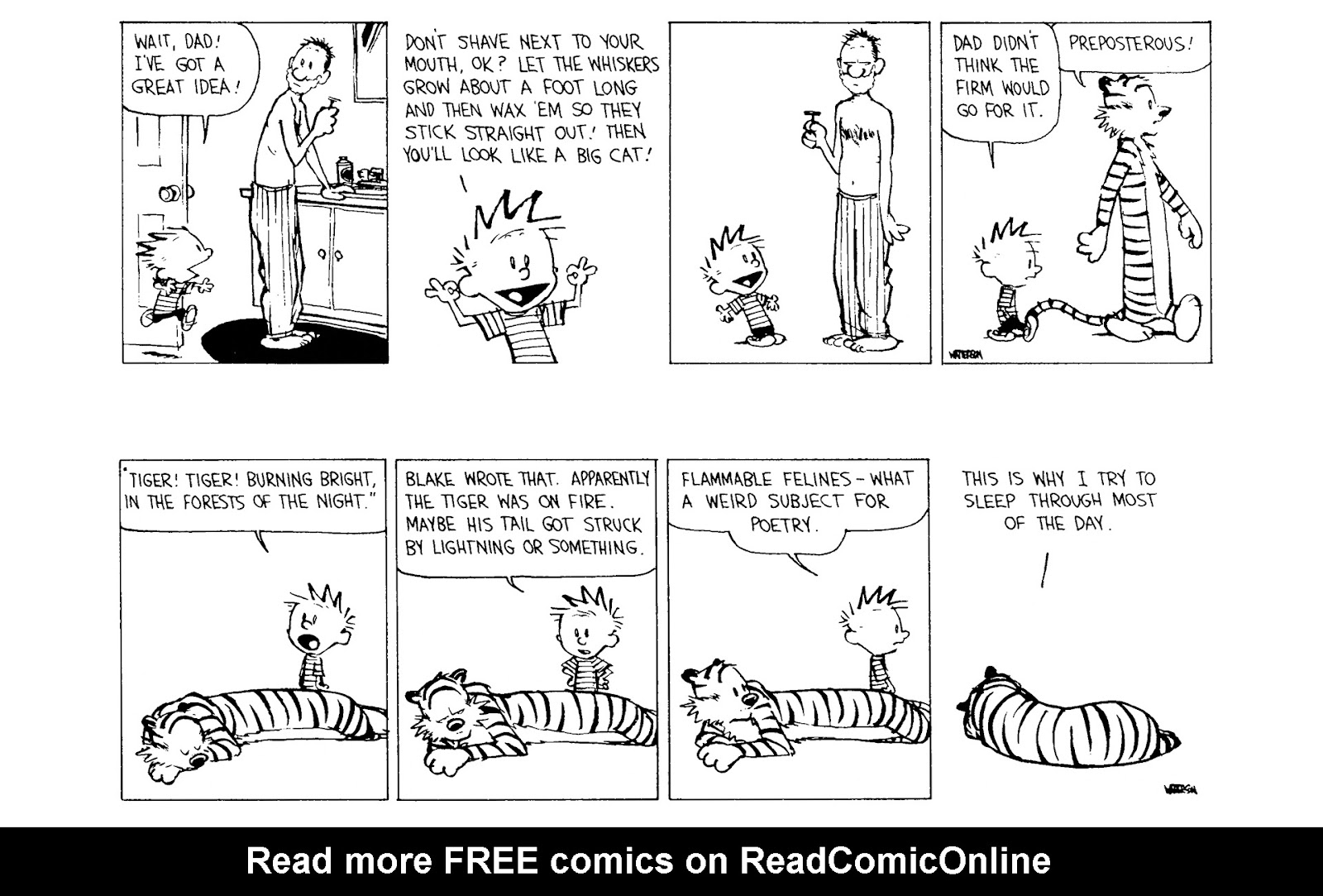 Calvin and Hobbes issue 9 - Page 84