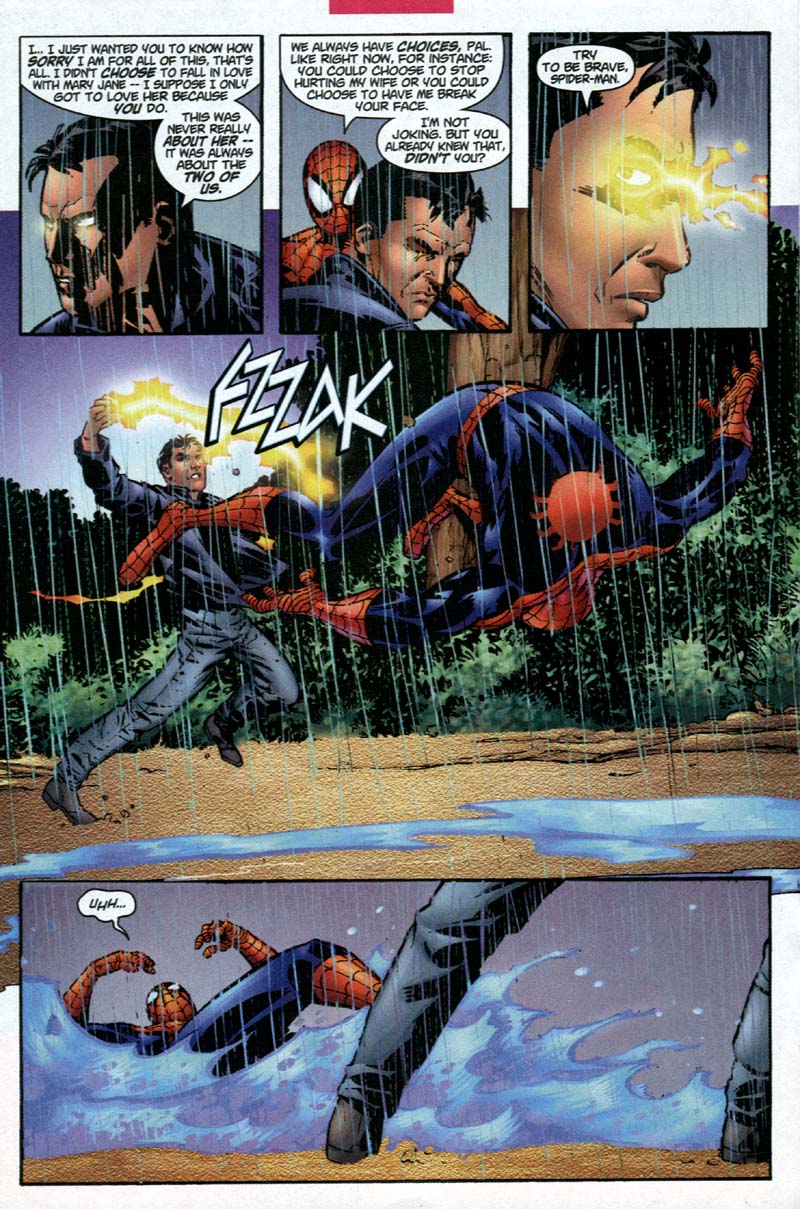 Peter Parker: Spider-Man Issue #29 #32 - English 14