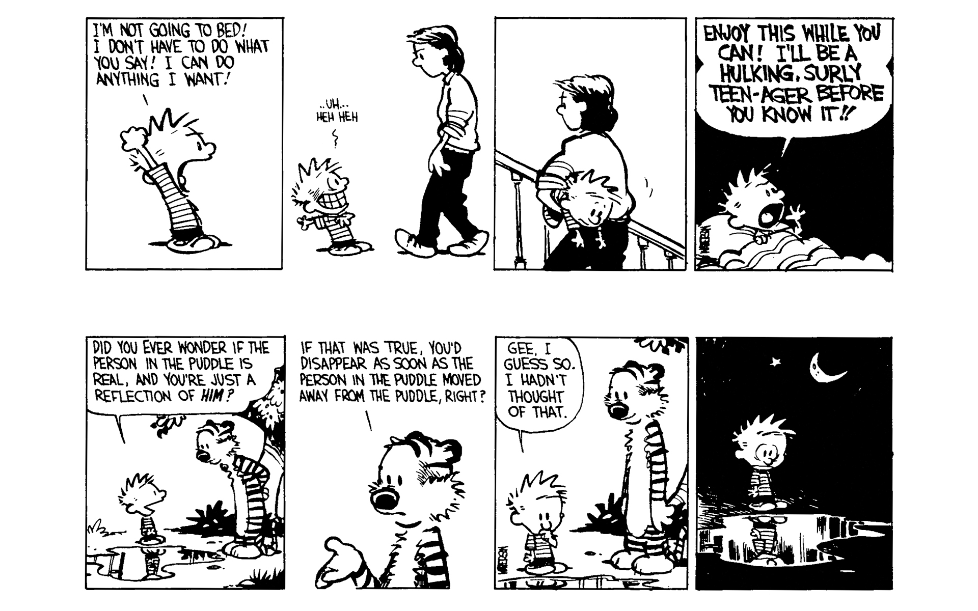 Read online Calvin and Hobbes comic -  Issue #4 - 41