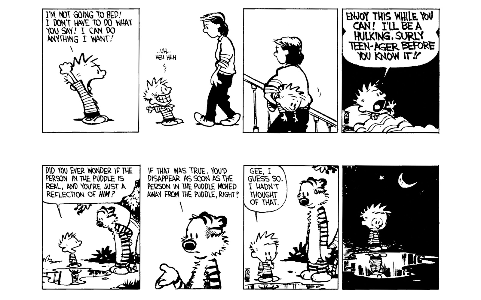 Calvin and Hobbes issue 4 - Page 41