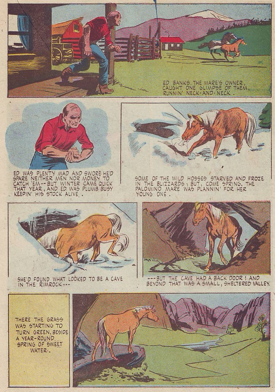 Read online Animal Comics comic -  Issue #27 - 31